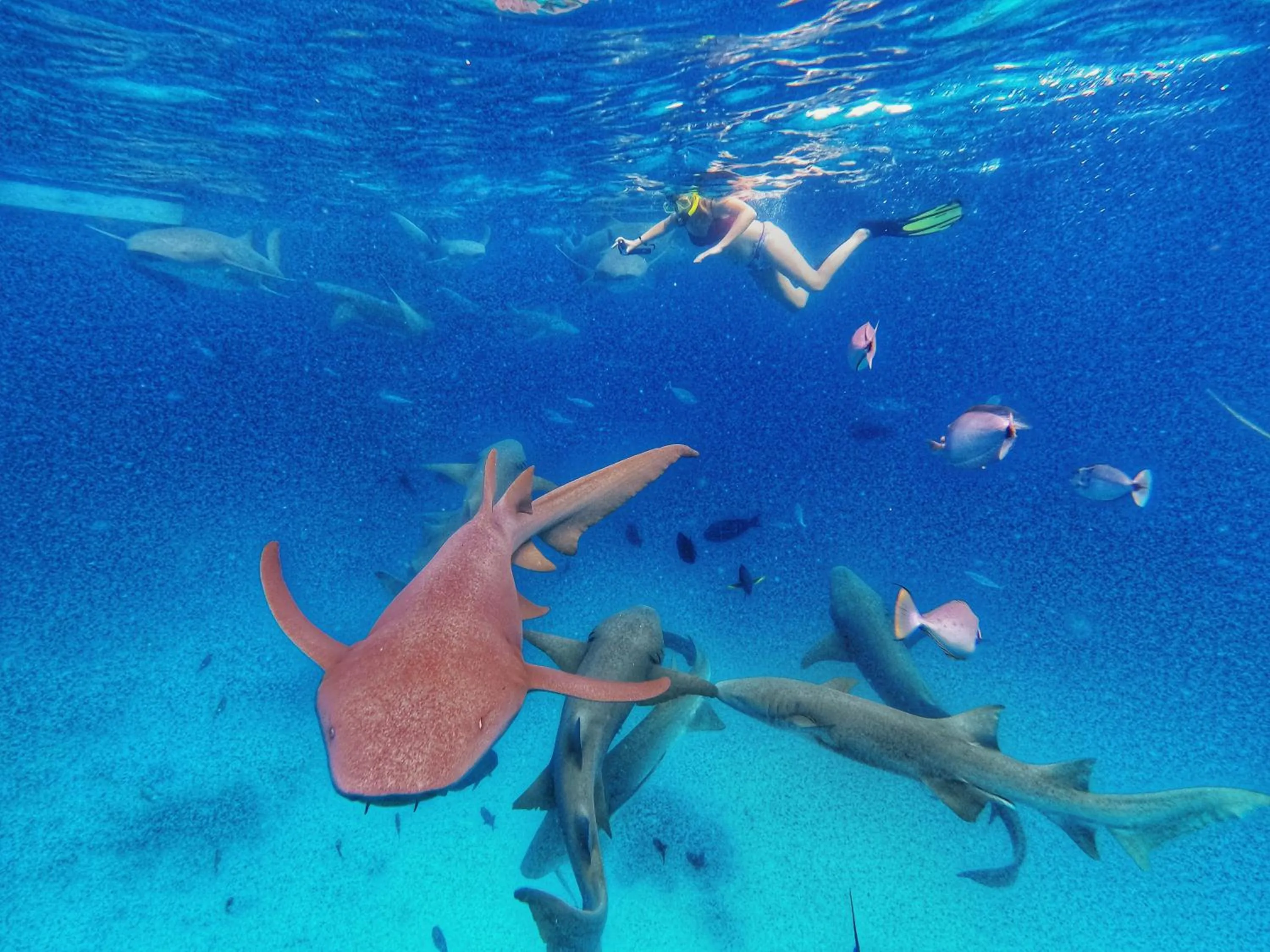 Activities in Athens View