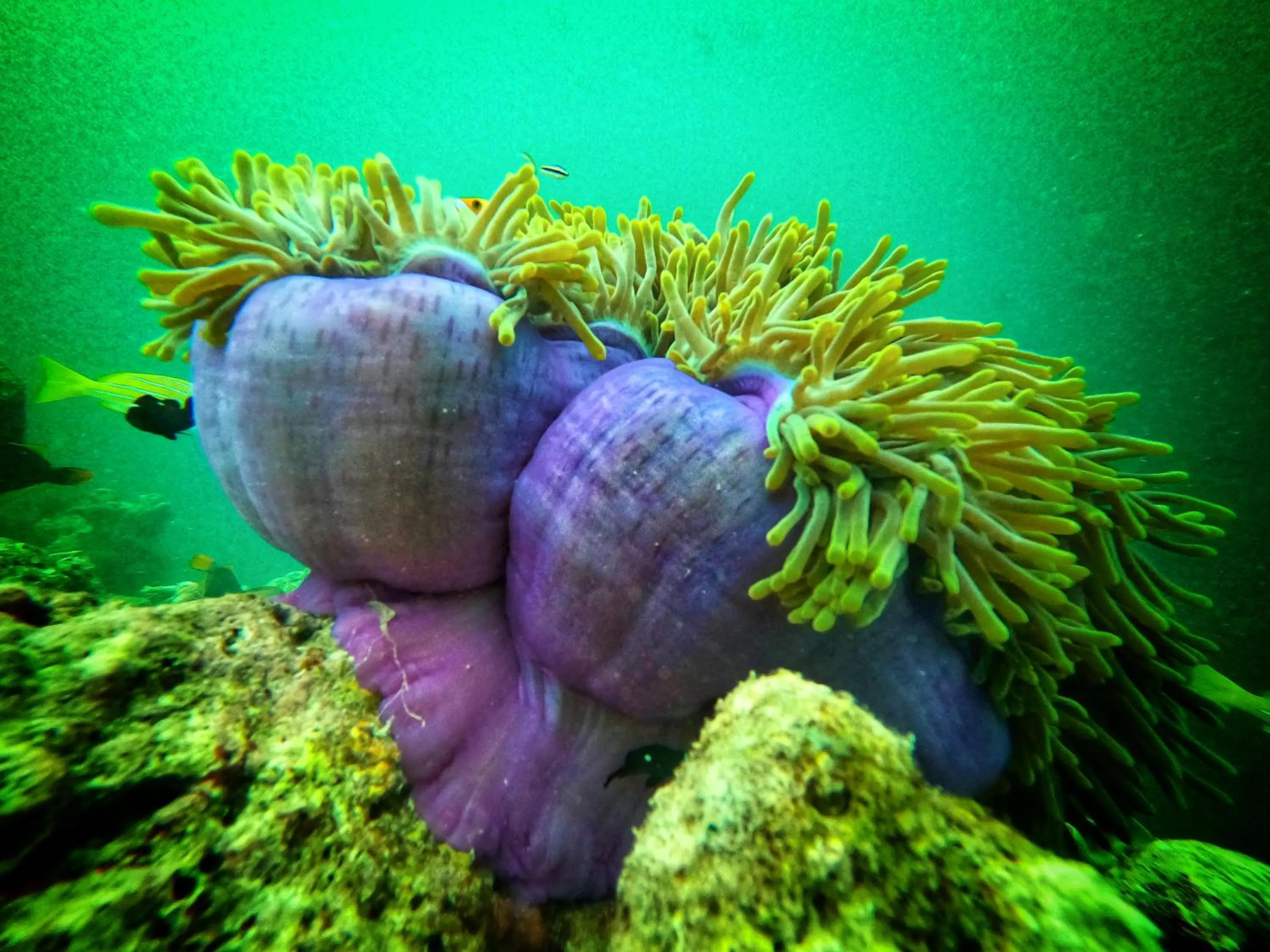 Natural landscape in Athens View