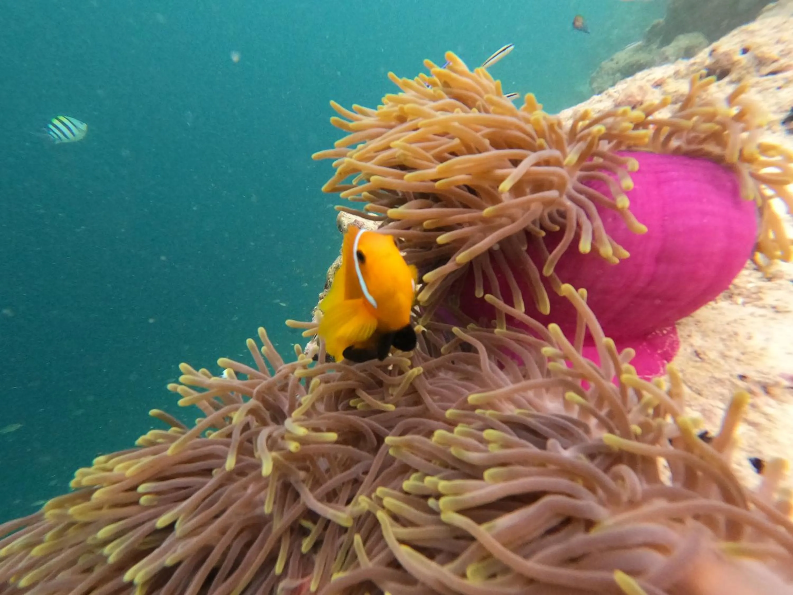 People in Athens View