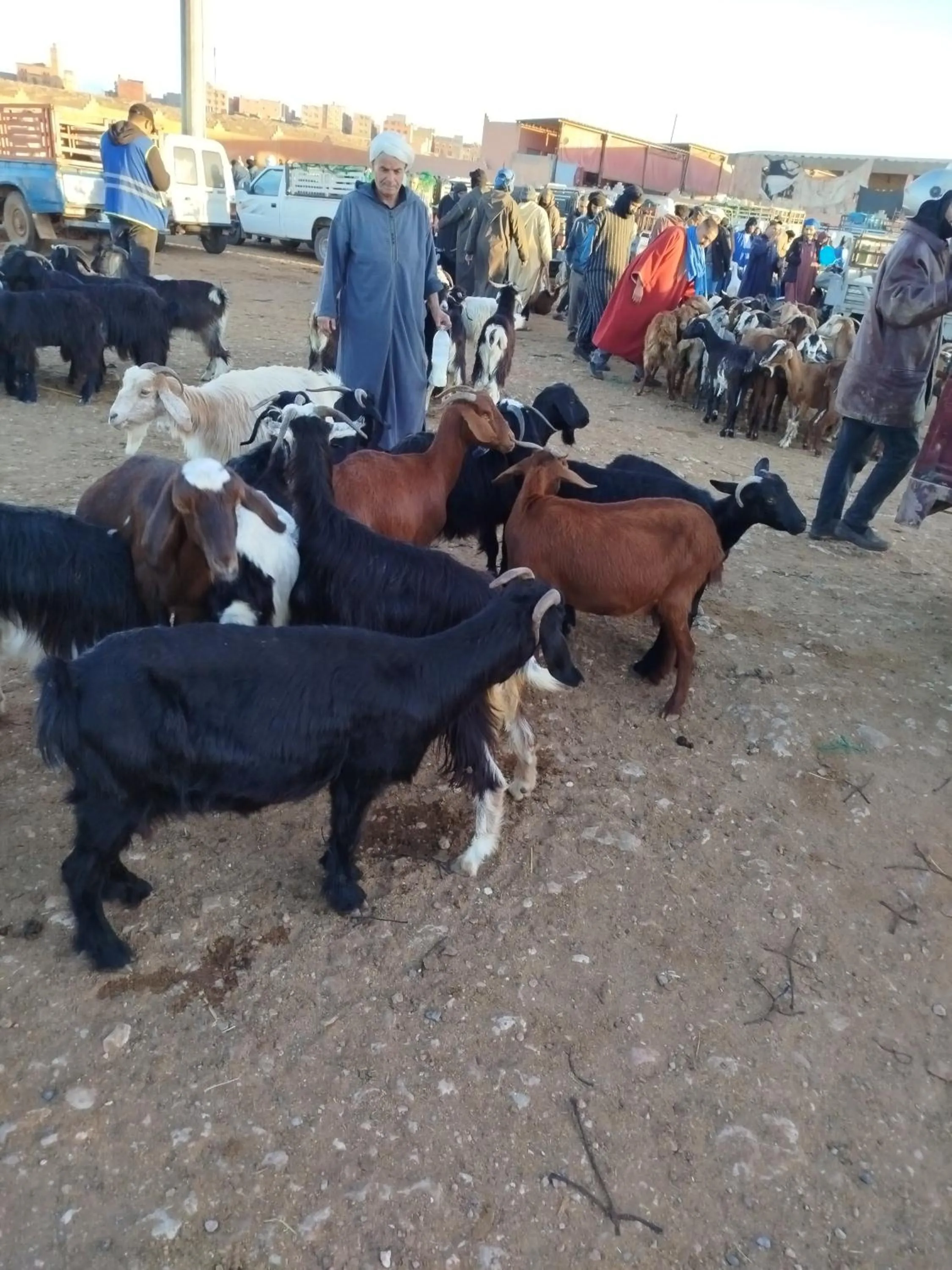 Maison etoile du desert