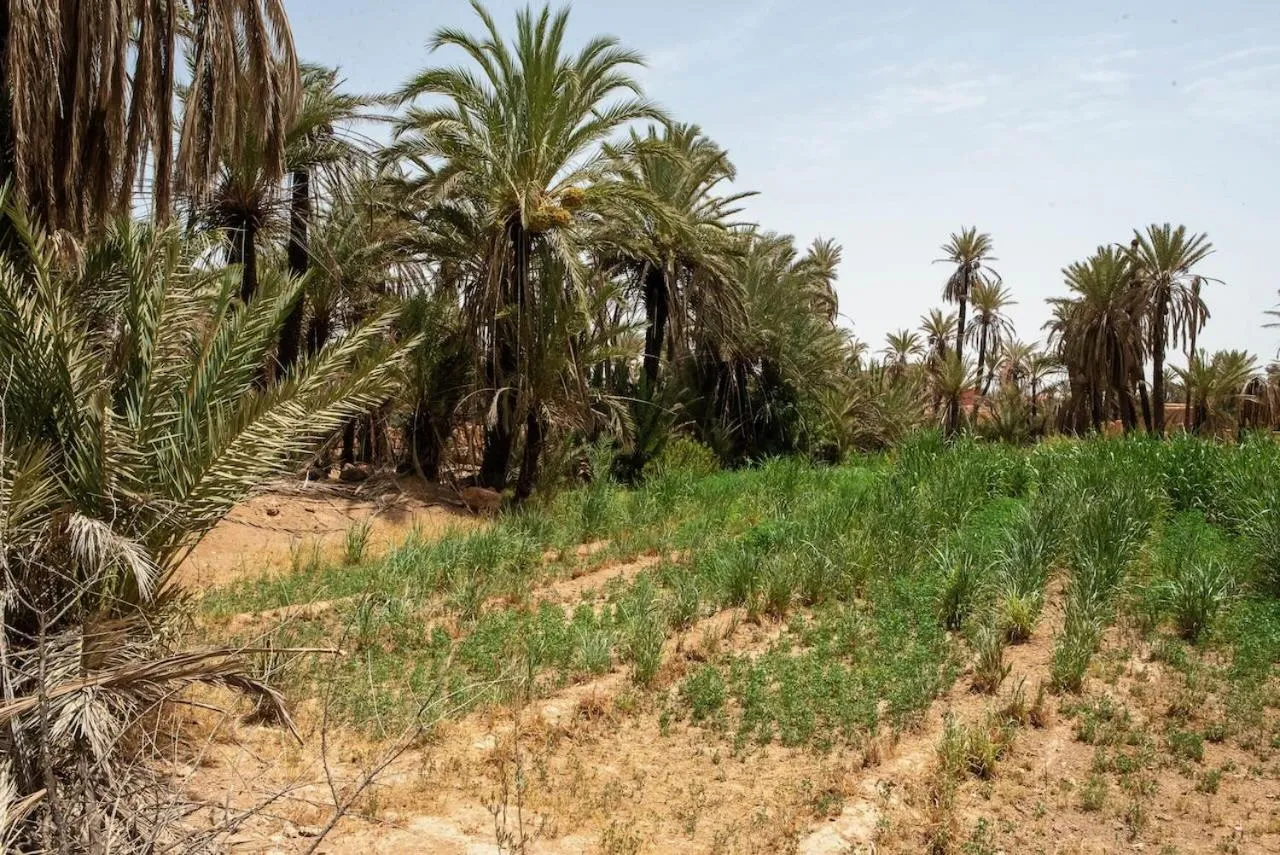 Maison etoile du desert