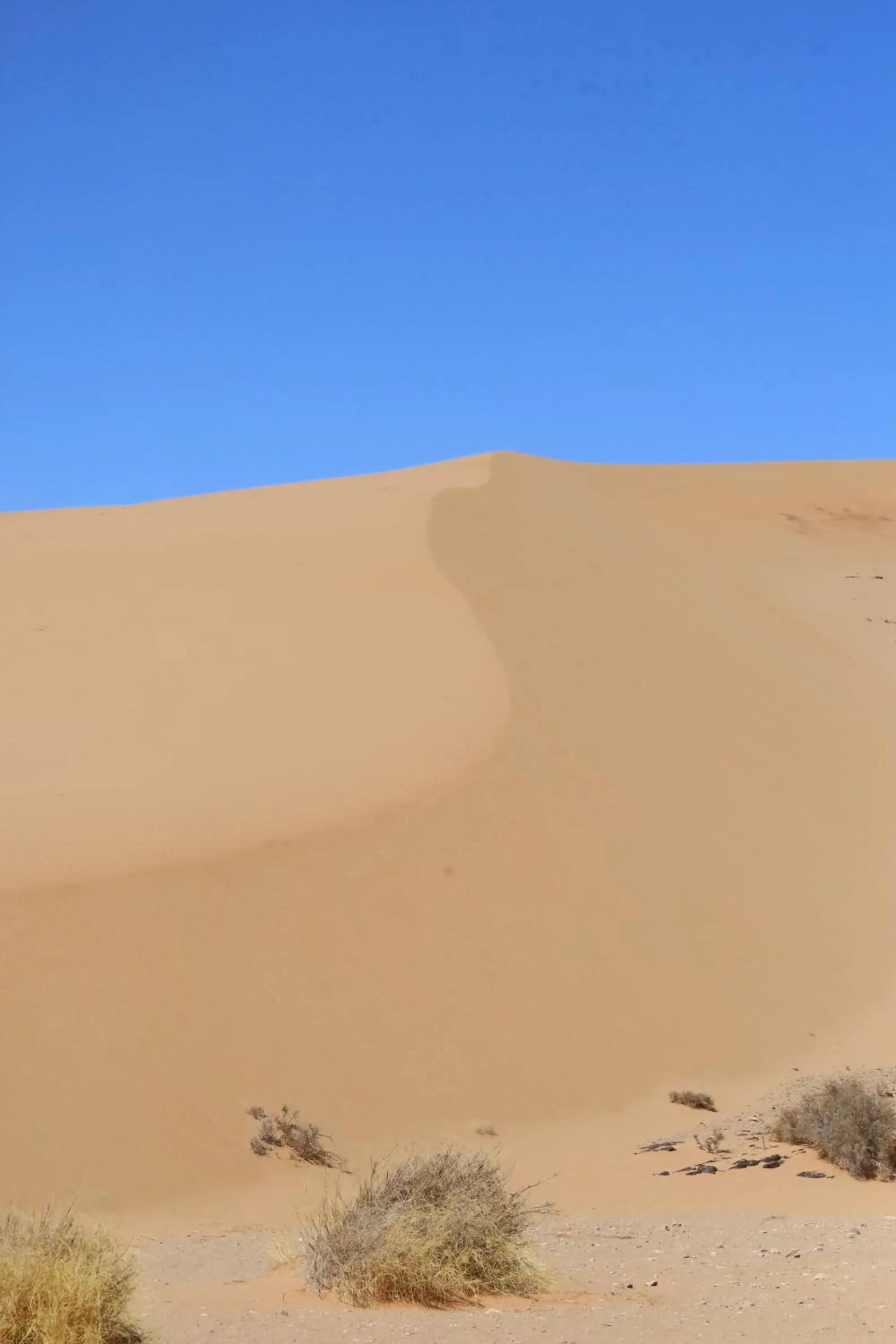 Maison etoile du desert