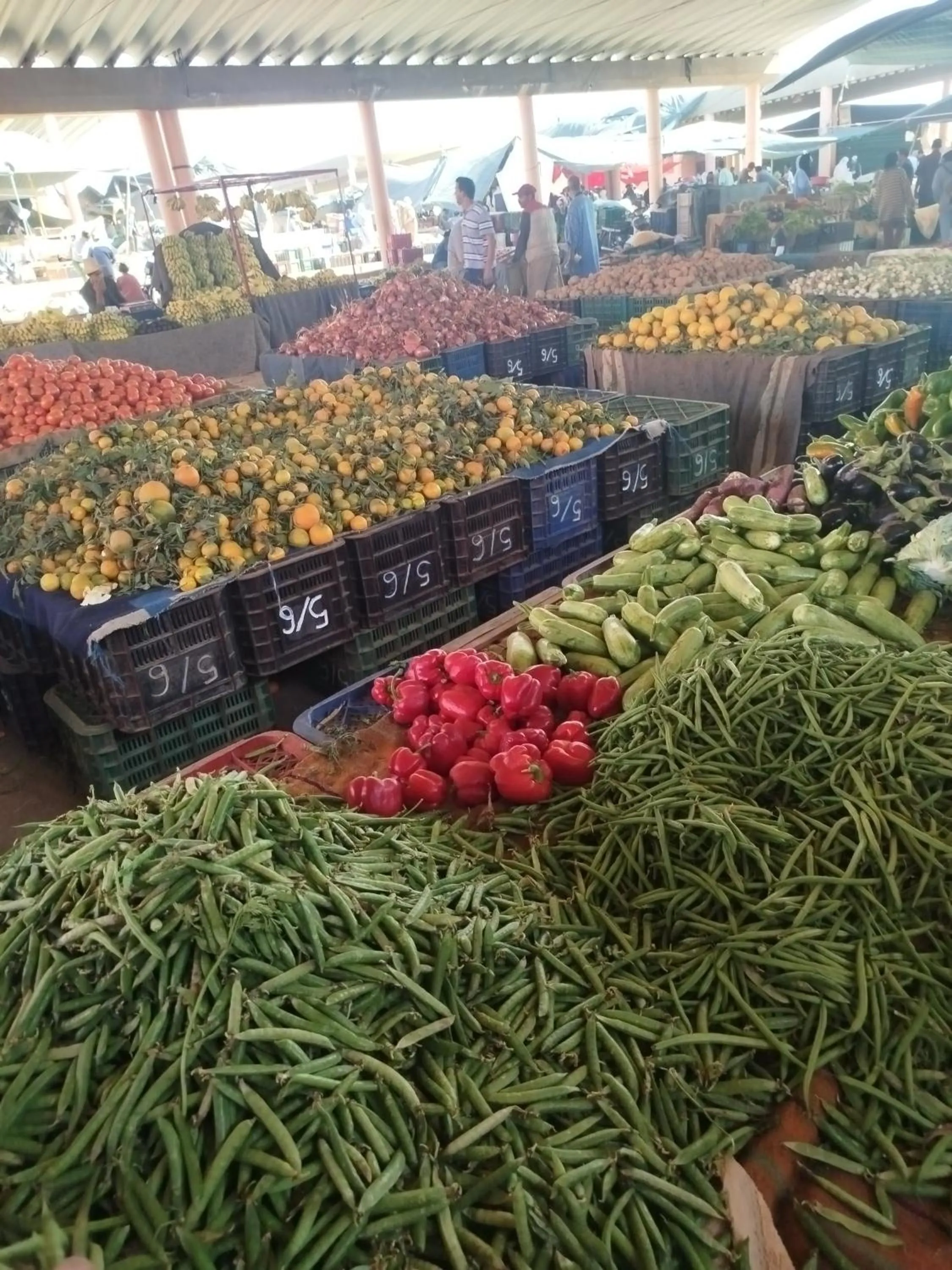 Maison etoile du desert