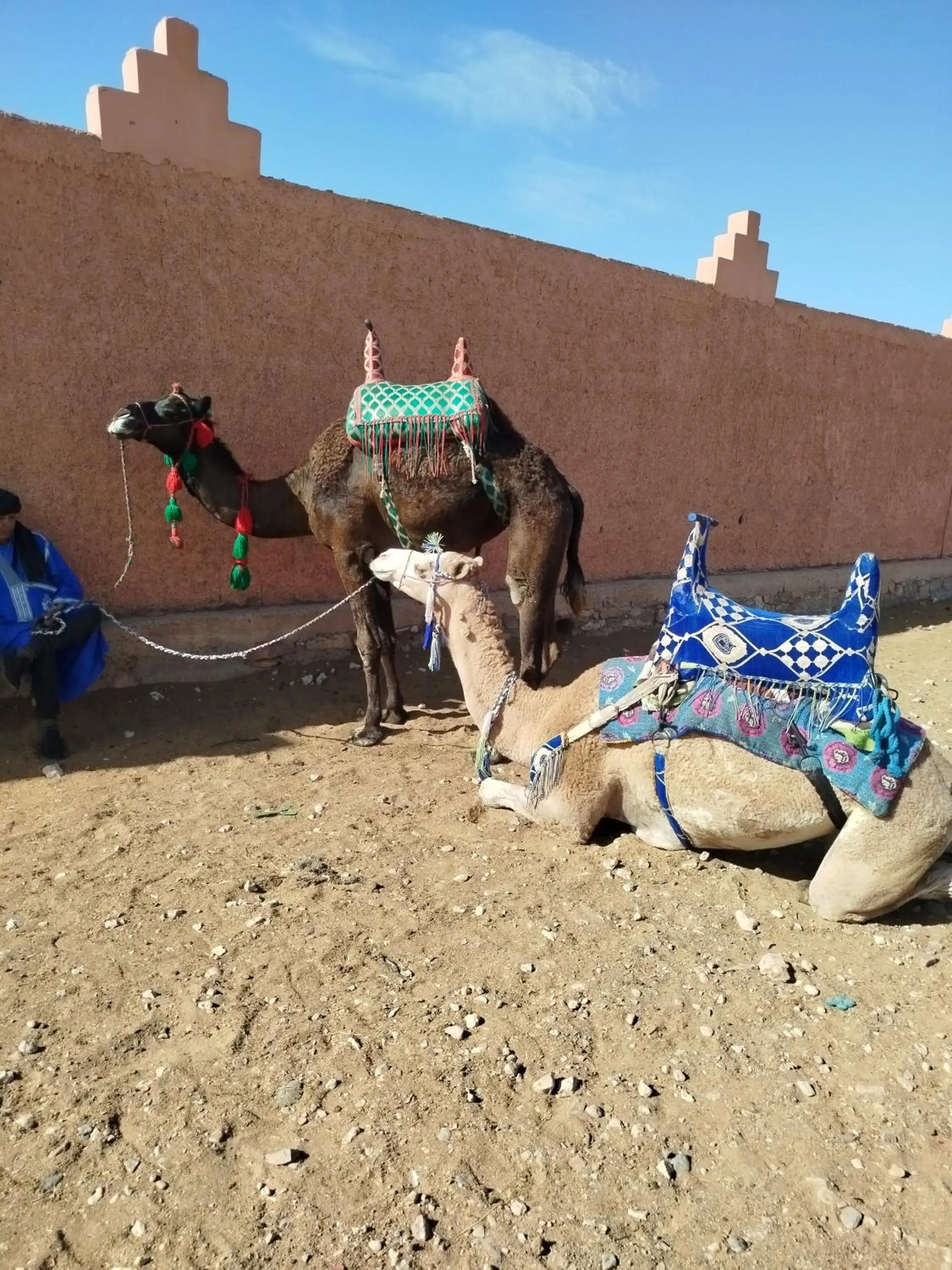 Maison etoile du desert