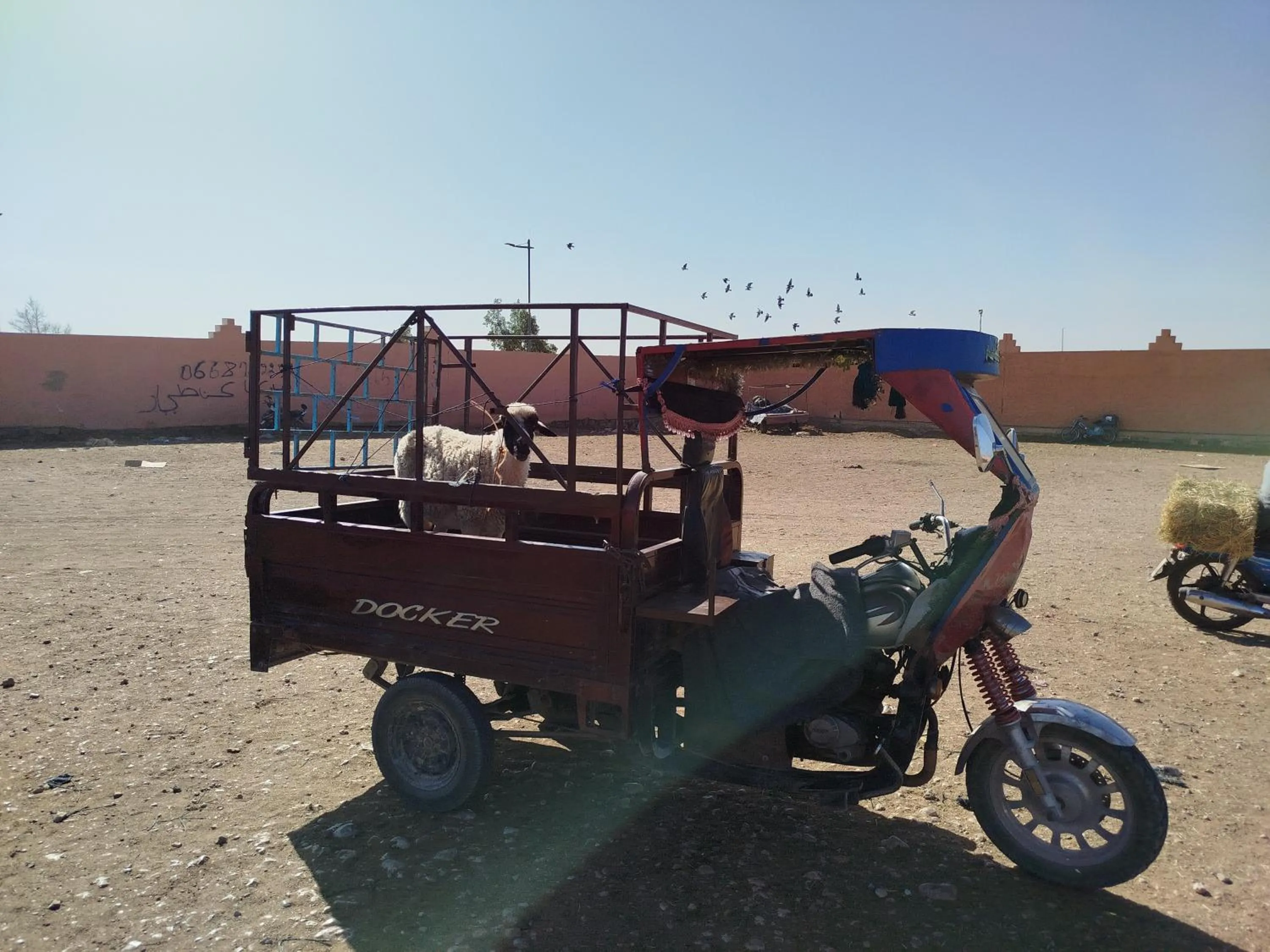 Maison etoile du desert