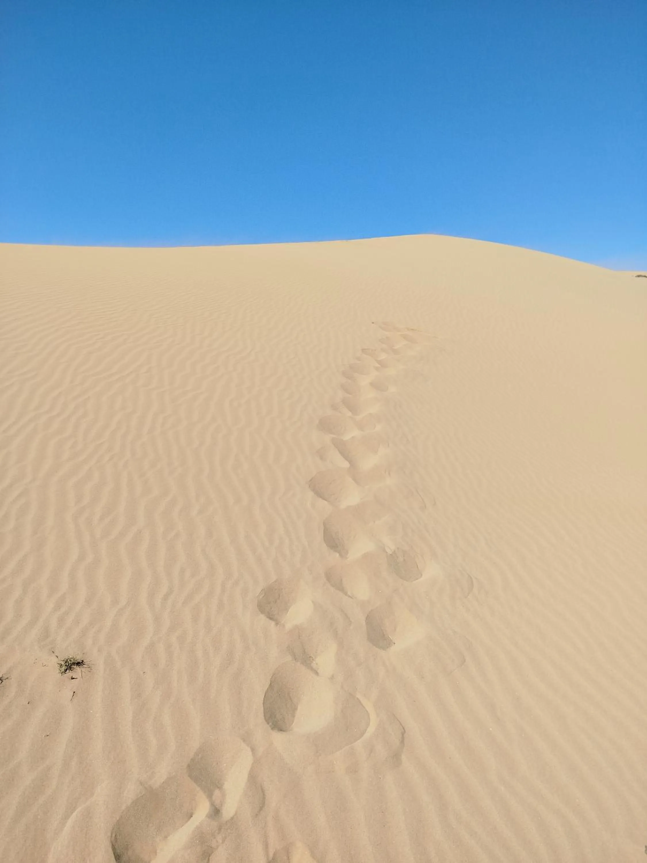 Maison etoile du desert