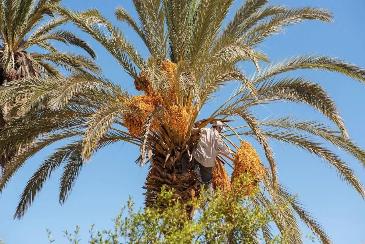 Maison etoile du desert