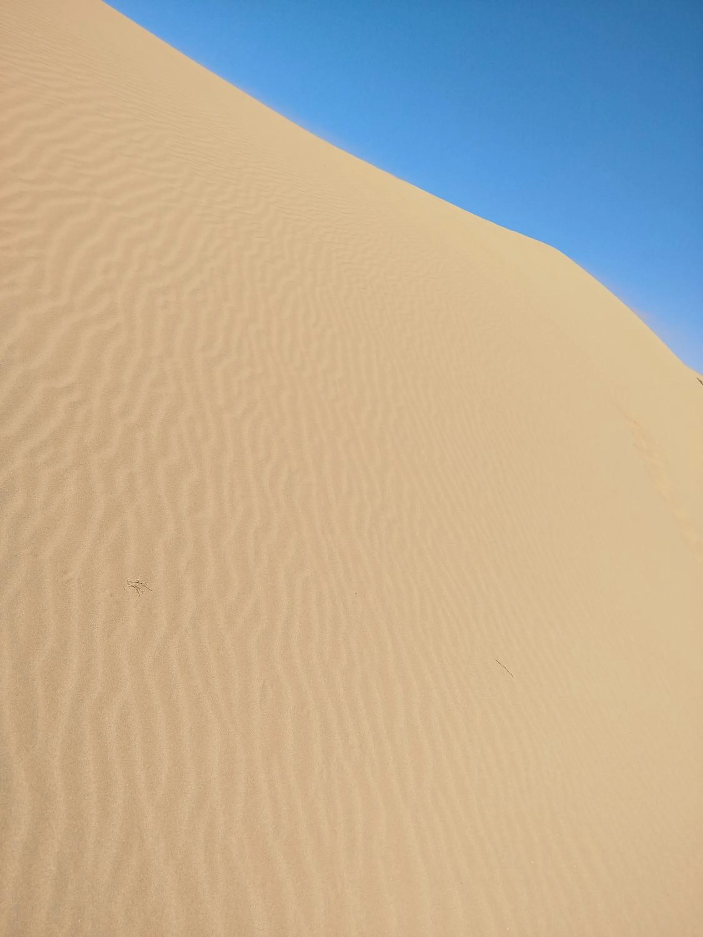 Maison etoile du desert