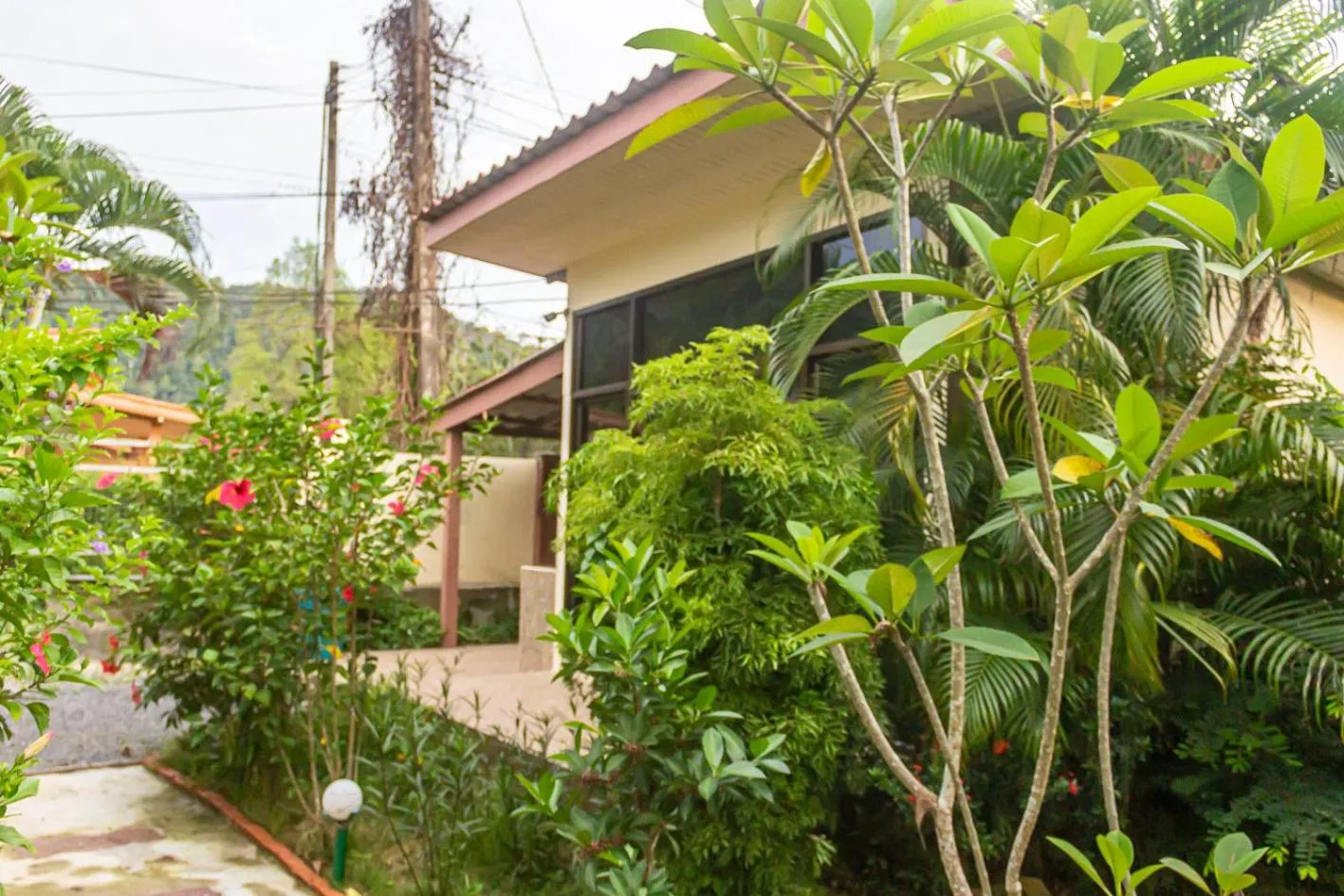 The Travelers Friend