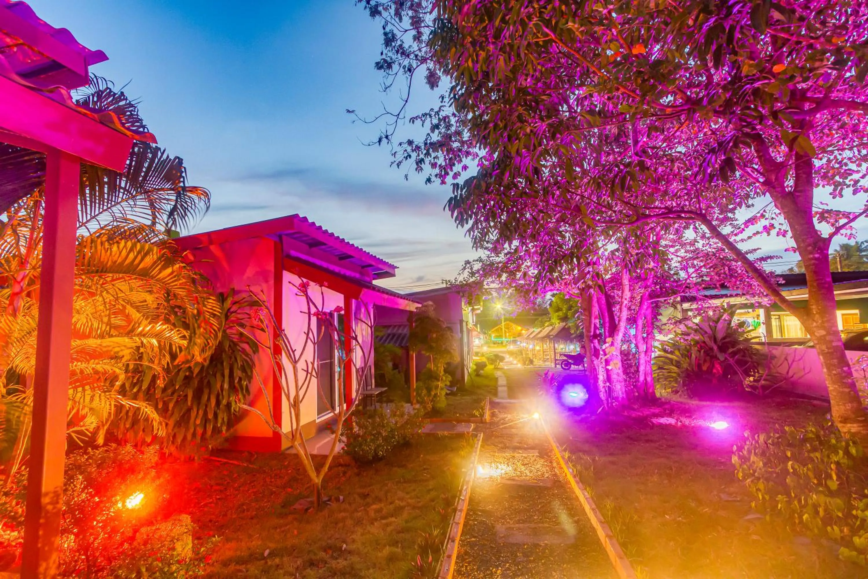 Garden in The Travelers Friend