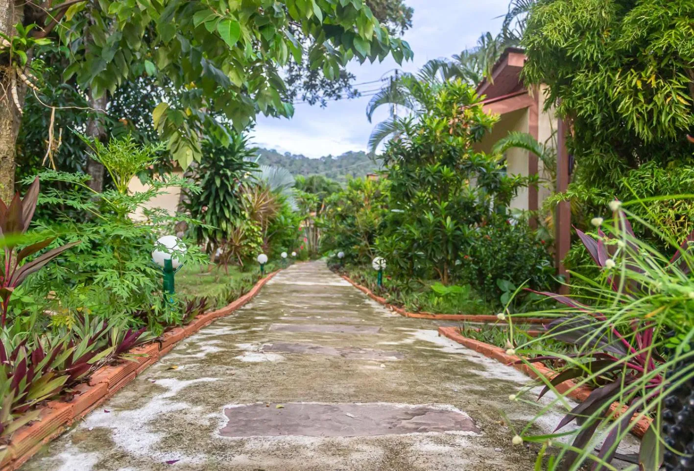 The Travelers Friend