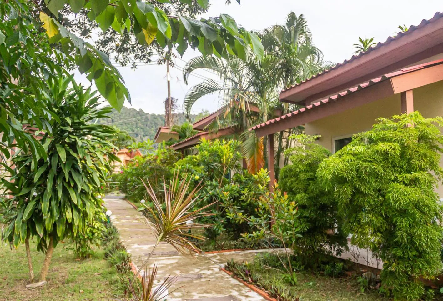 The Travelers Friend