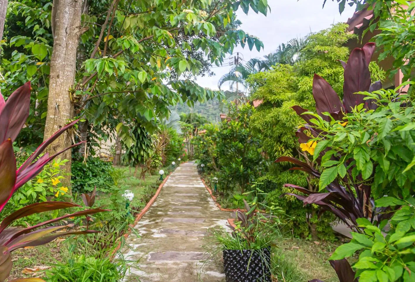 The Travelers Friend