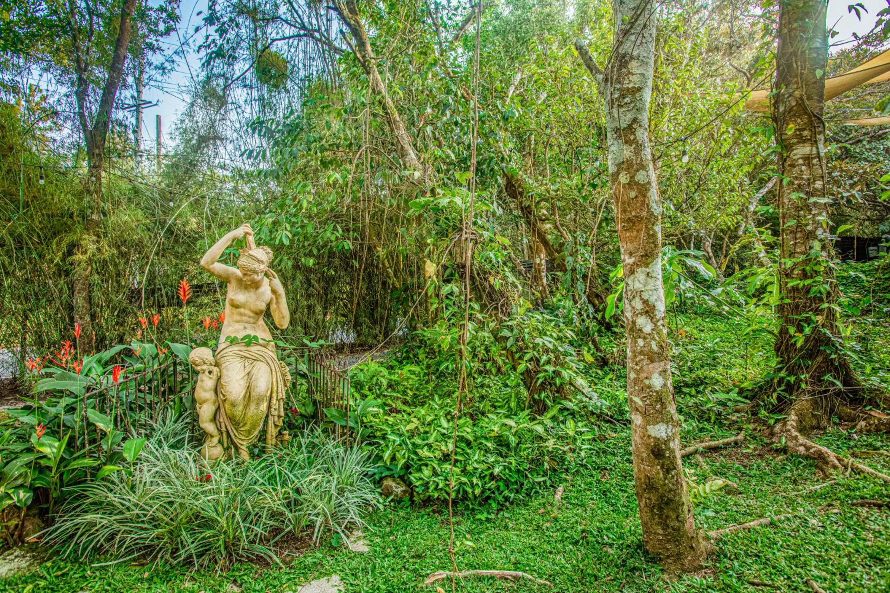 Garden in Casa Madre Tierra