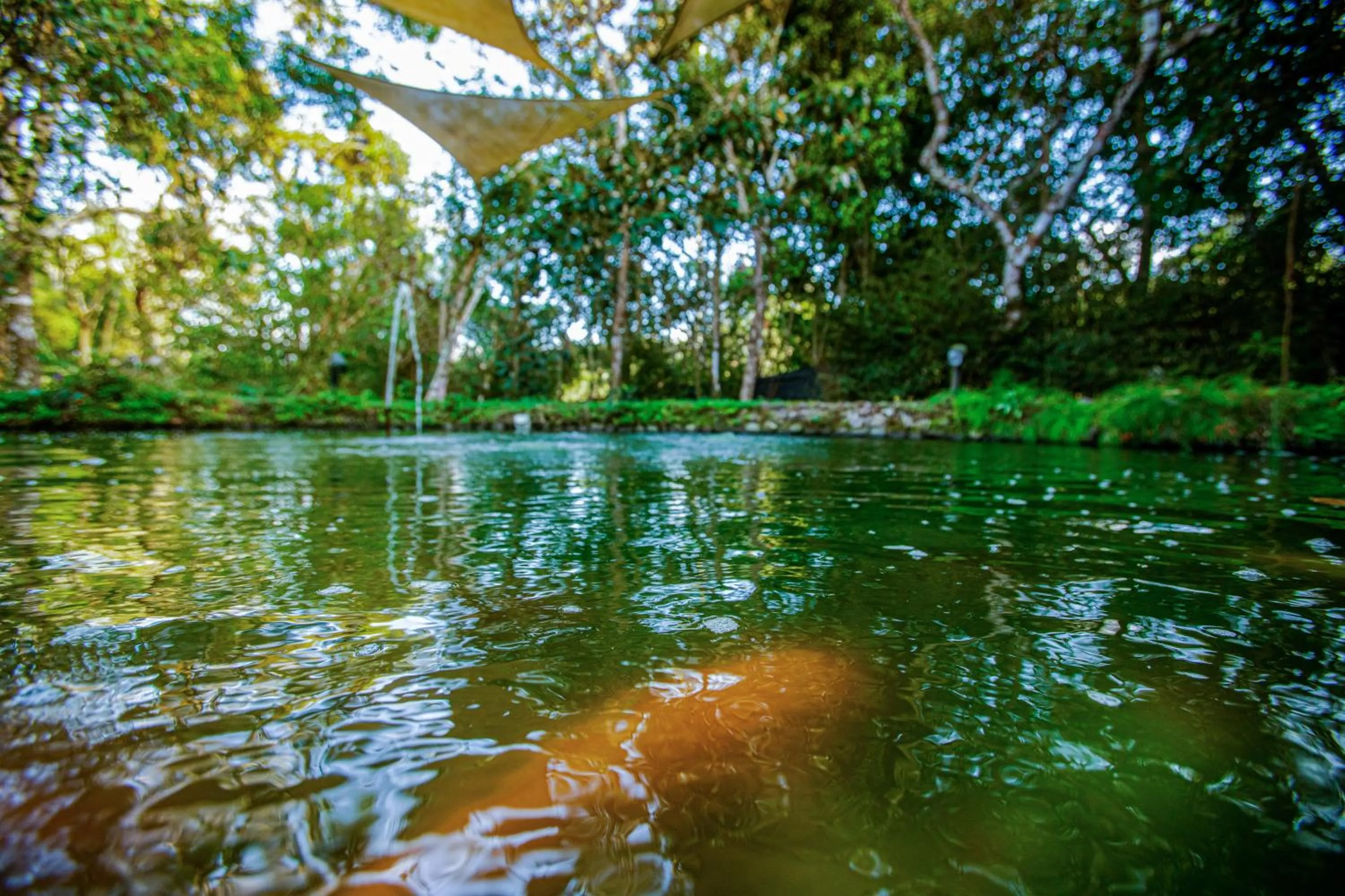 Garden in Casa Madre Tierra