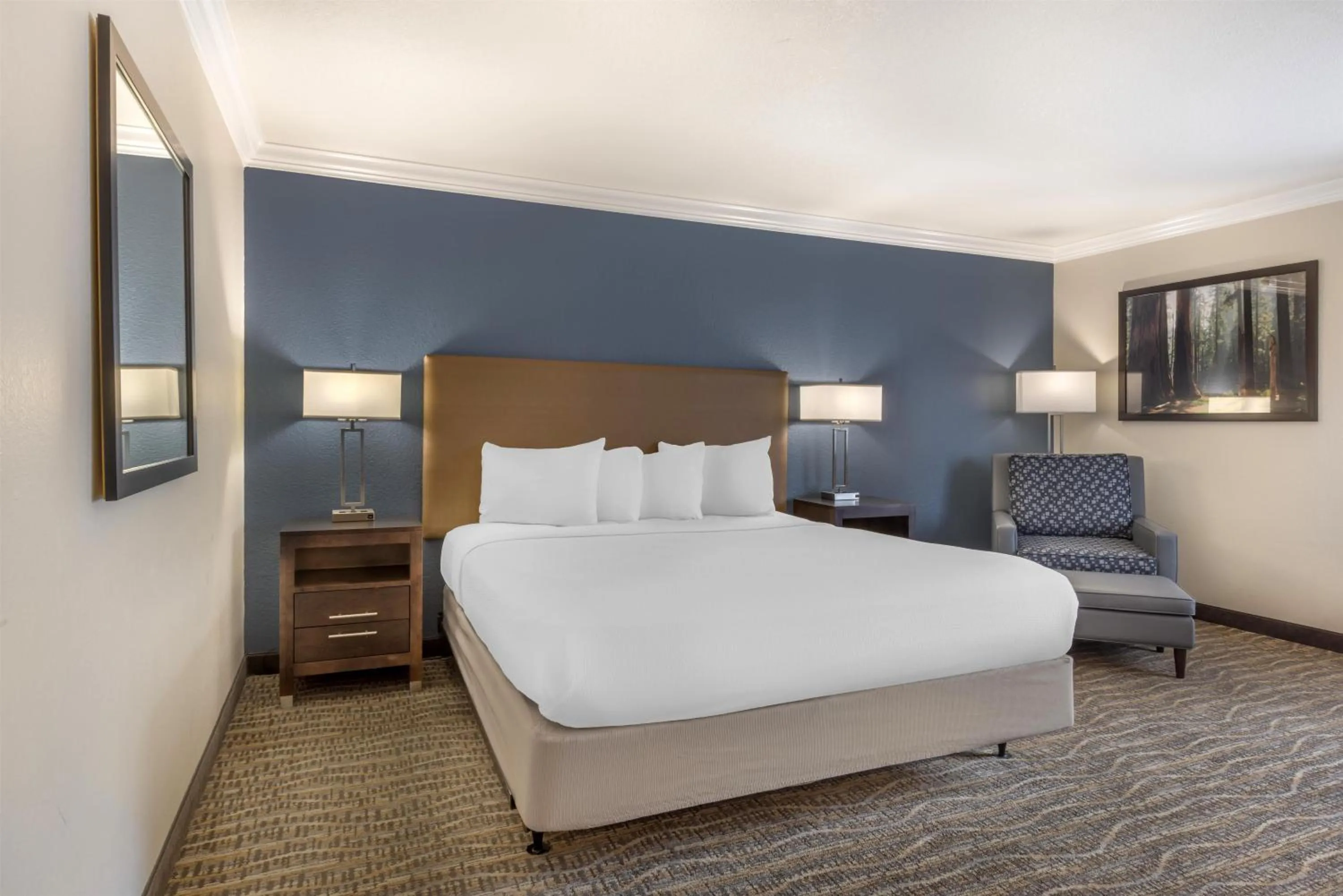 Bedroom, Bed in Best Western Town & Country Lodge