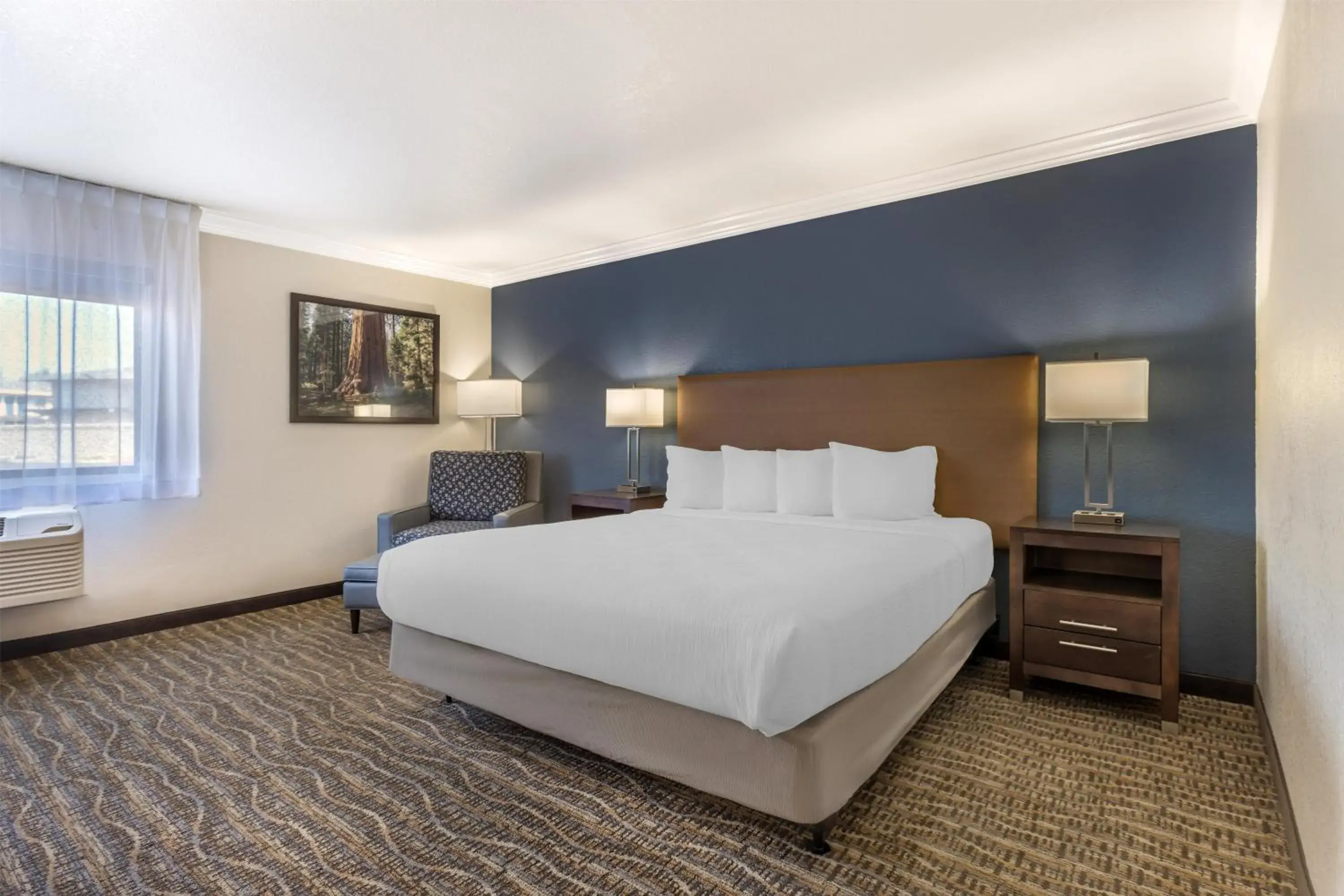 King Room with Roll-In Shower - Mobility Access in Best Western Town & Country Lodge King Room with Roll-In Shower - Mobility Access in Best Western Town & Country Lodge