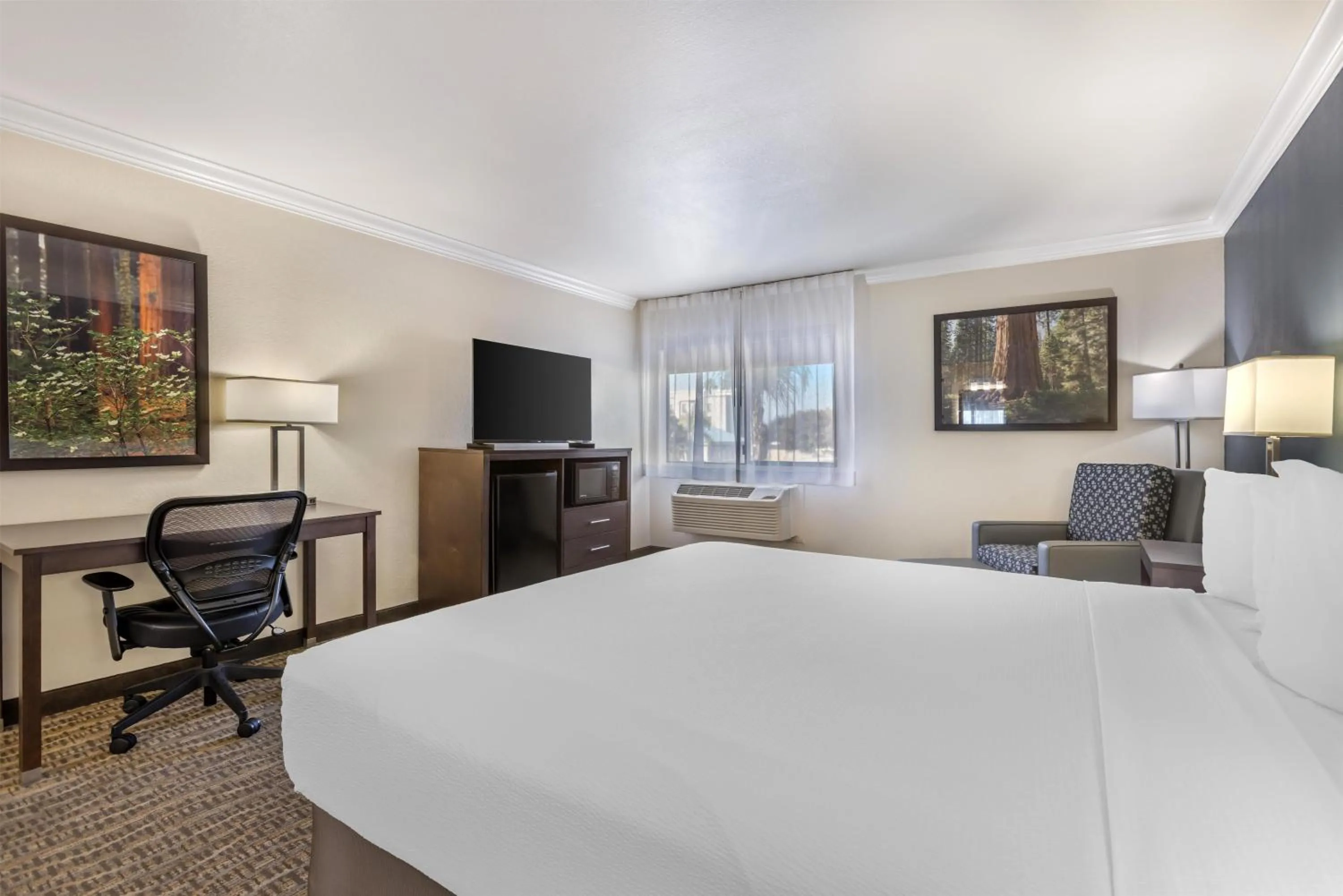 Bedroom, Bed in Best Western Town & Country Lodge