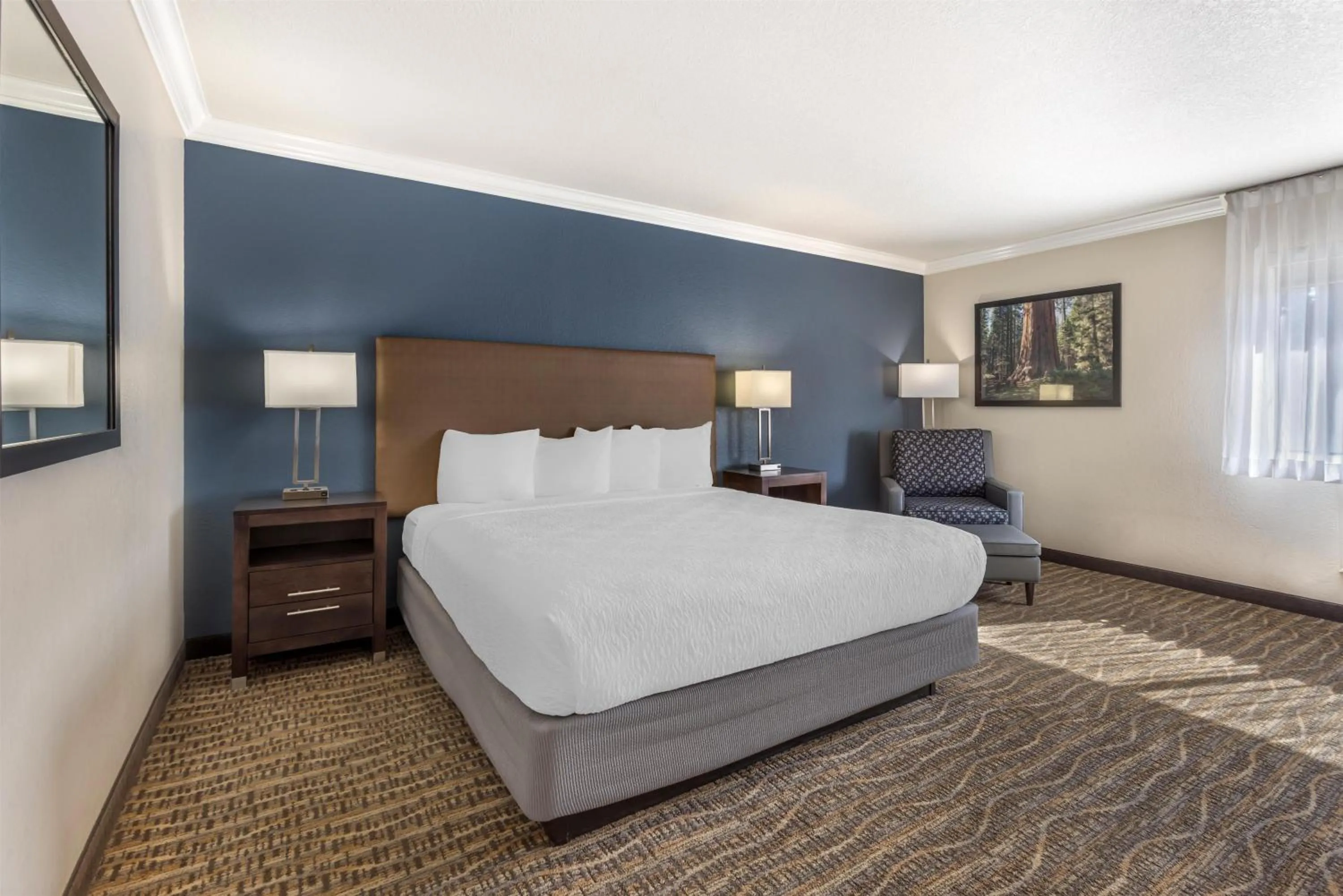 Photo of the whole room, Bed in Best Western Town & Country Lodge