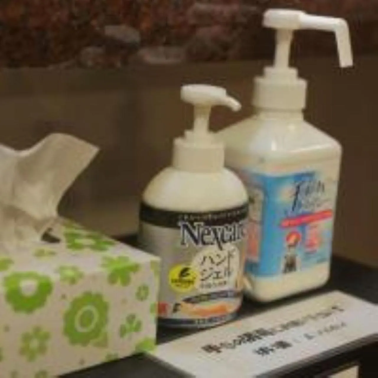 Area and facilities in Saigiku