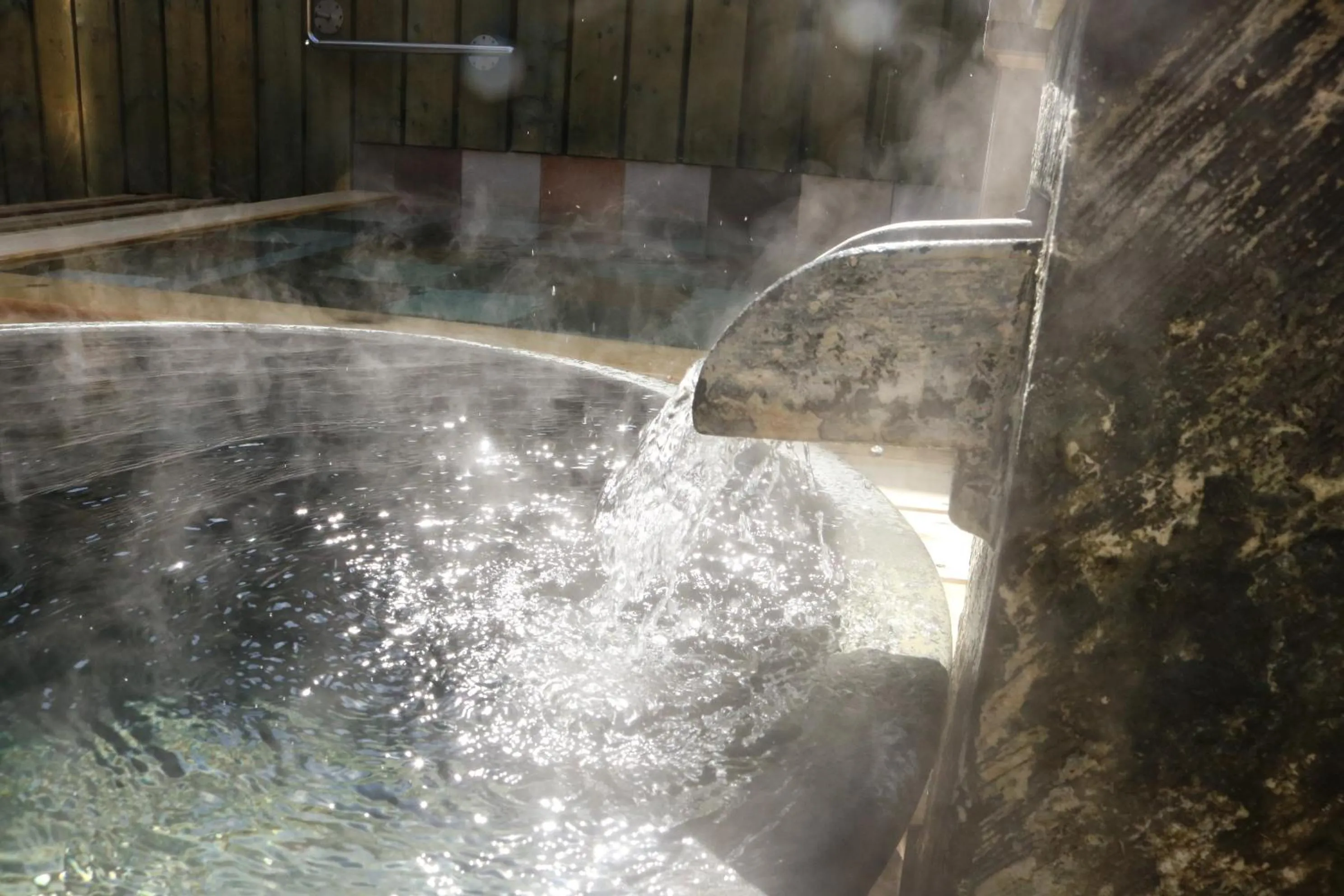 Hot Spring Bath in Saigiku
