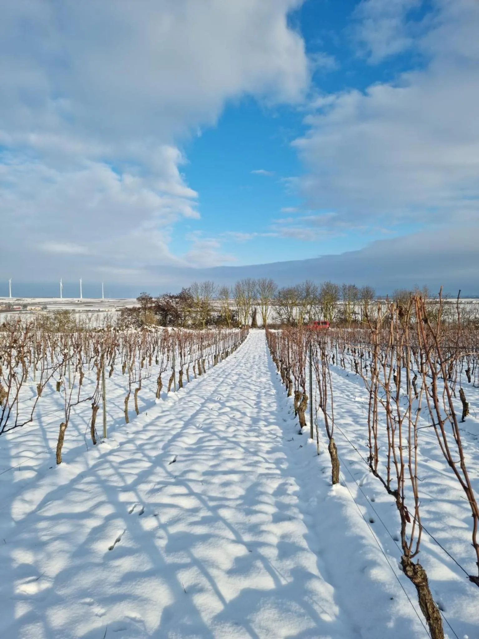 Area and facilities in Gästehaus & Weingut PETH