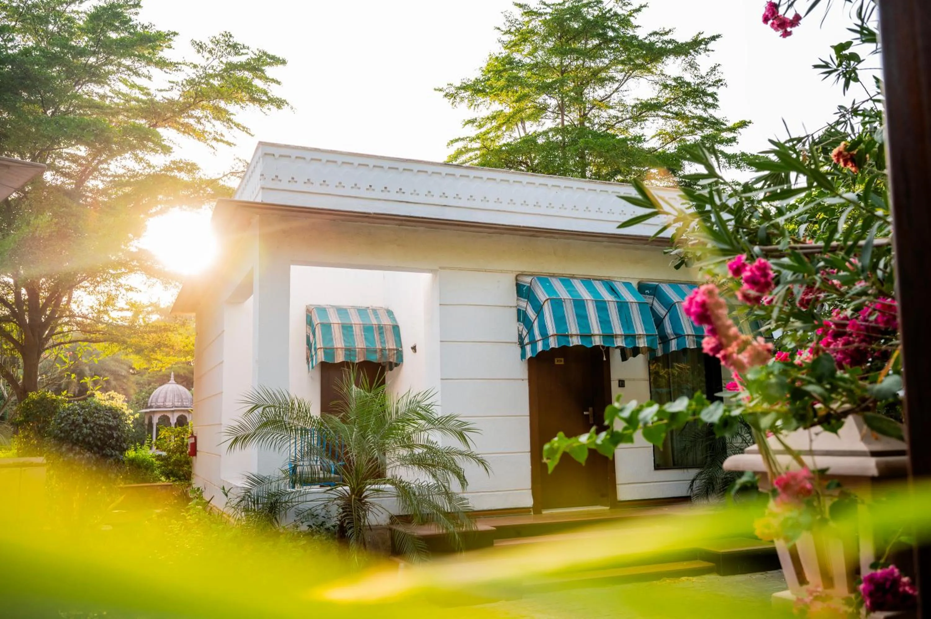 Clarks Safari Ranthambore