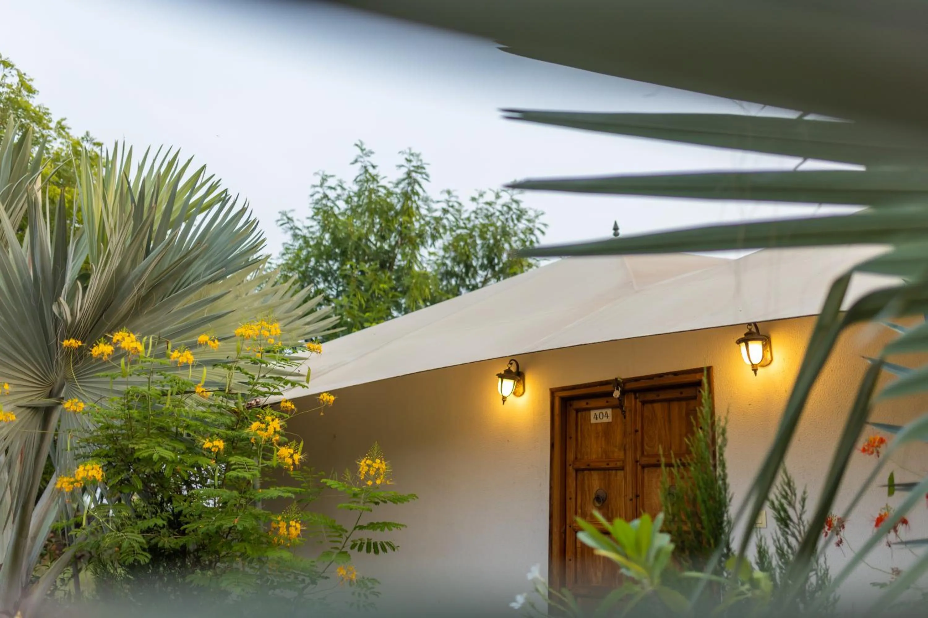 Clarks Safari Ranthambore