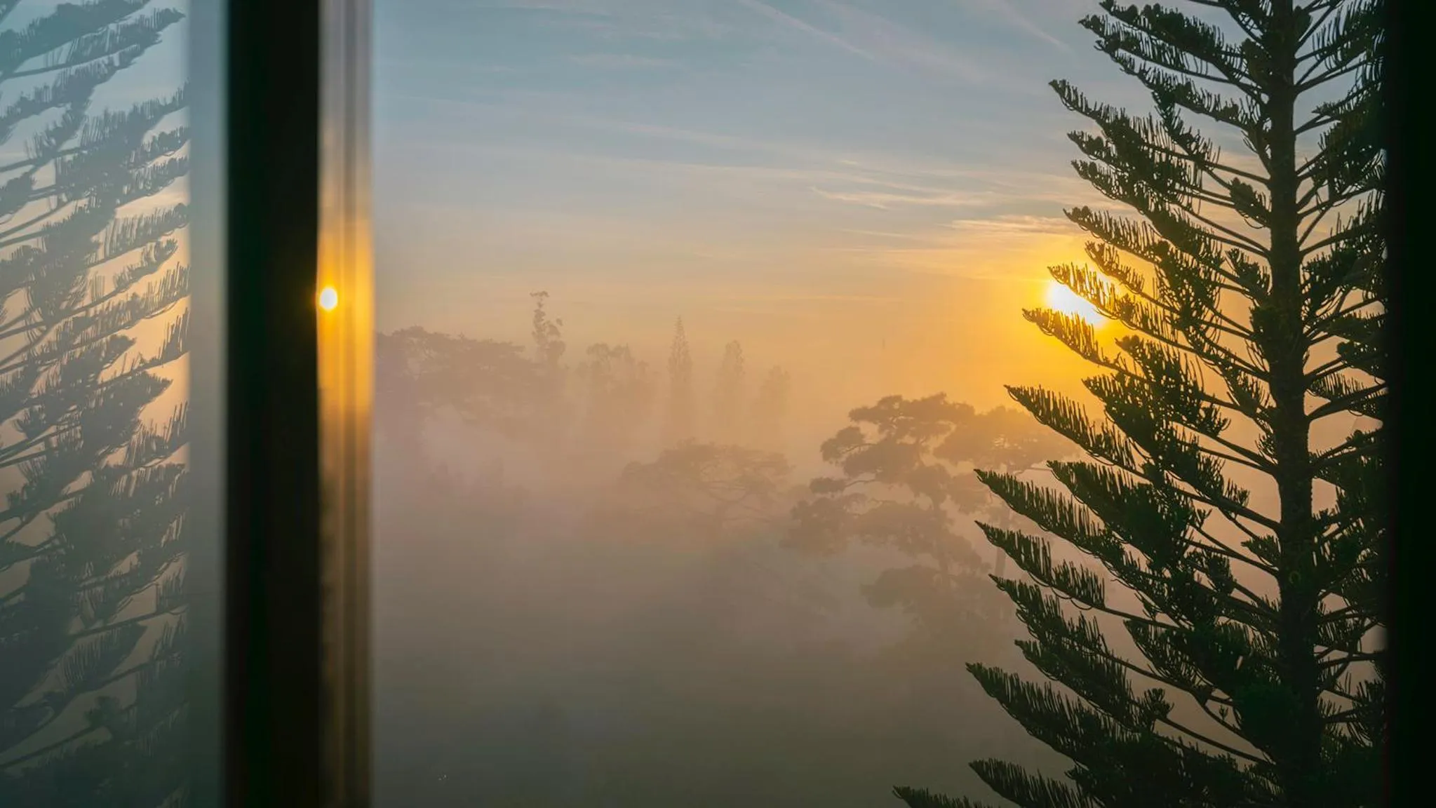 Natural landscape in Duy Long Hotel
