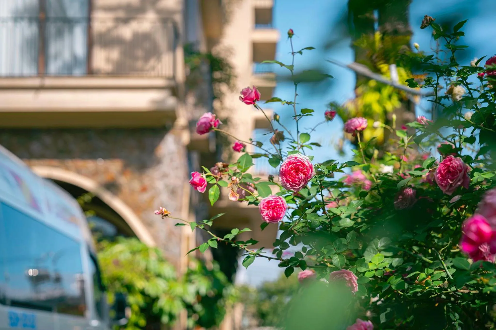 Property building in Duy Long Hotel