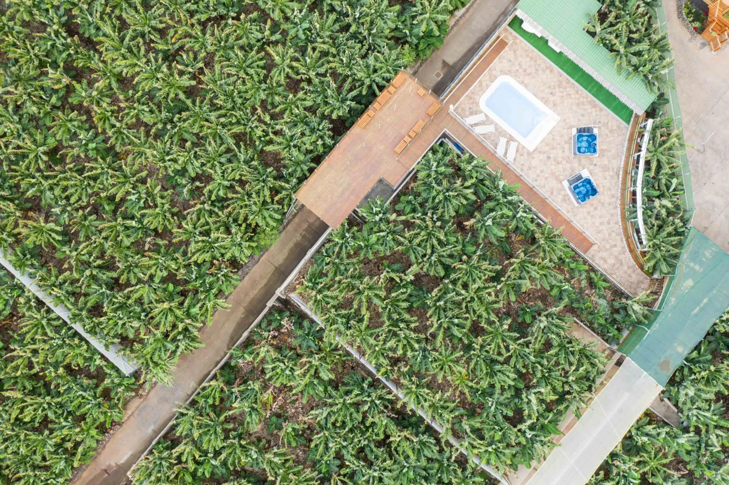 Hacienda La Dehesa (Only Adults)