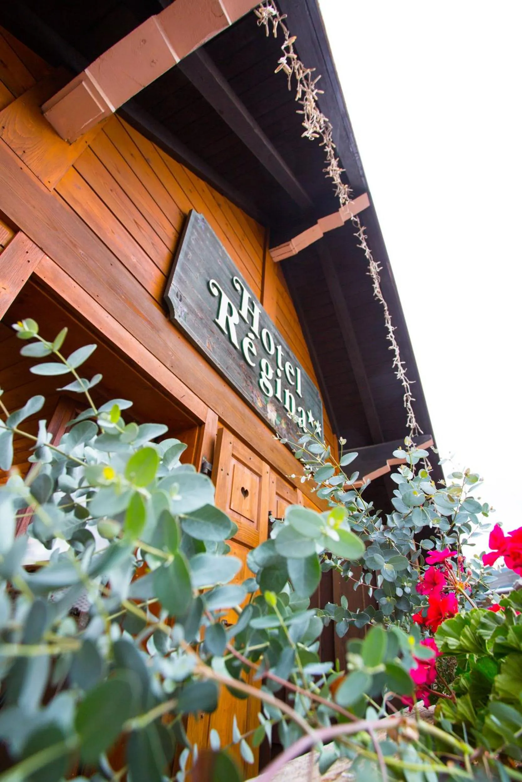 Chalet Hotel Régina