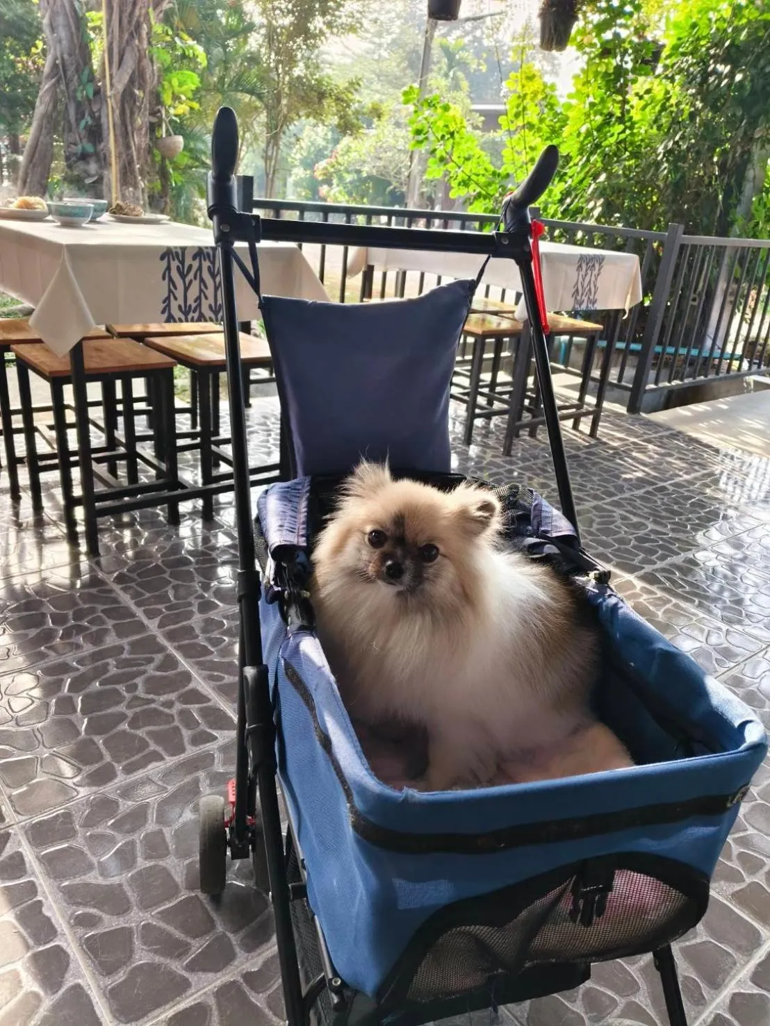 B-tel Chomthong resort Chiang mai