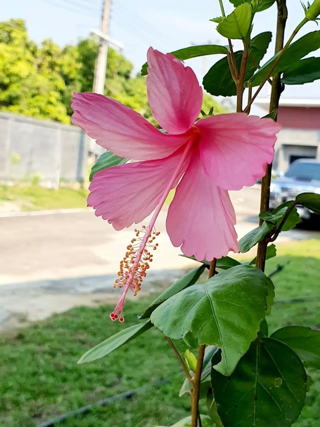 B-tel Chomthong resort Chiang mai