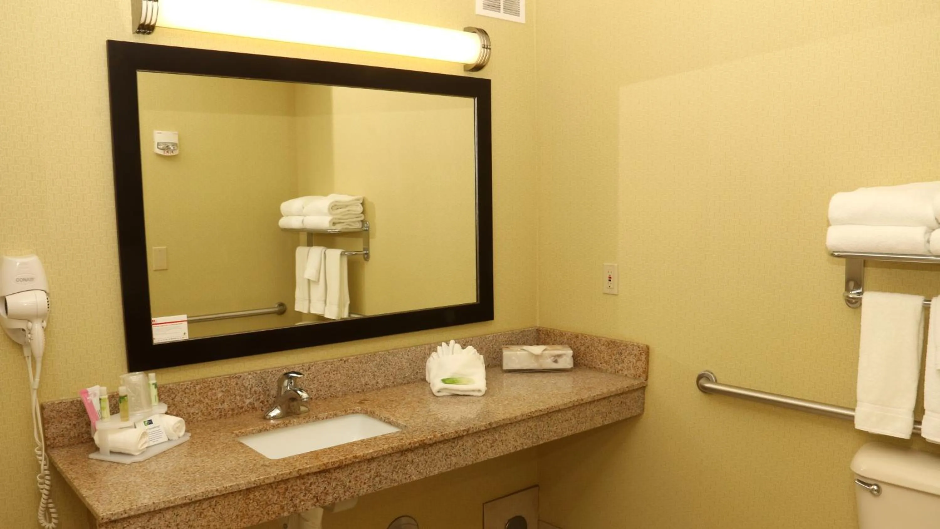 Bathroom in Holiday Inn Express Hotel & Suites Saginaw by IHG