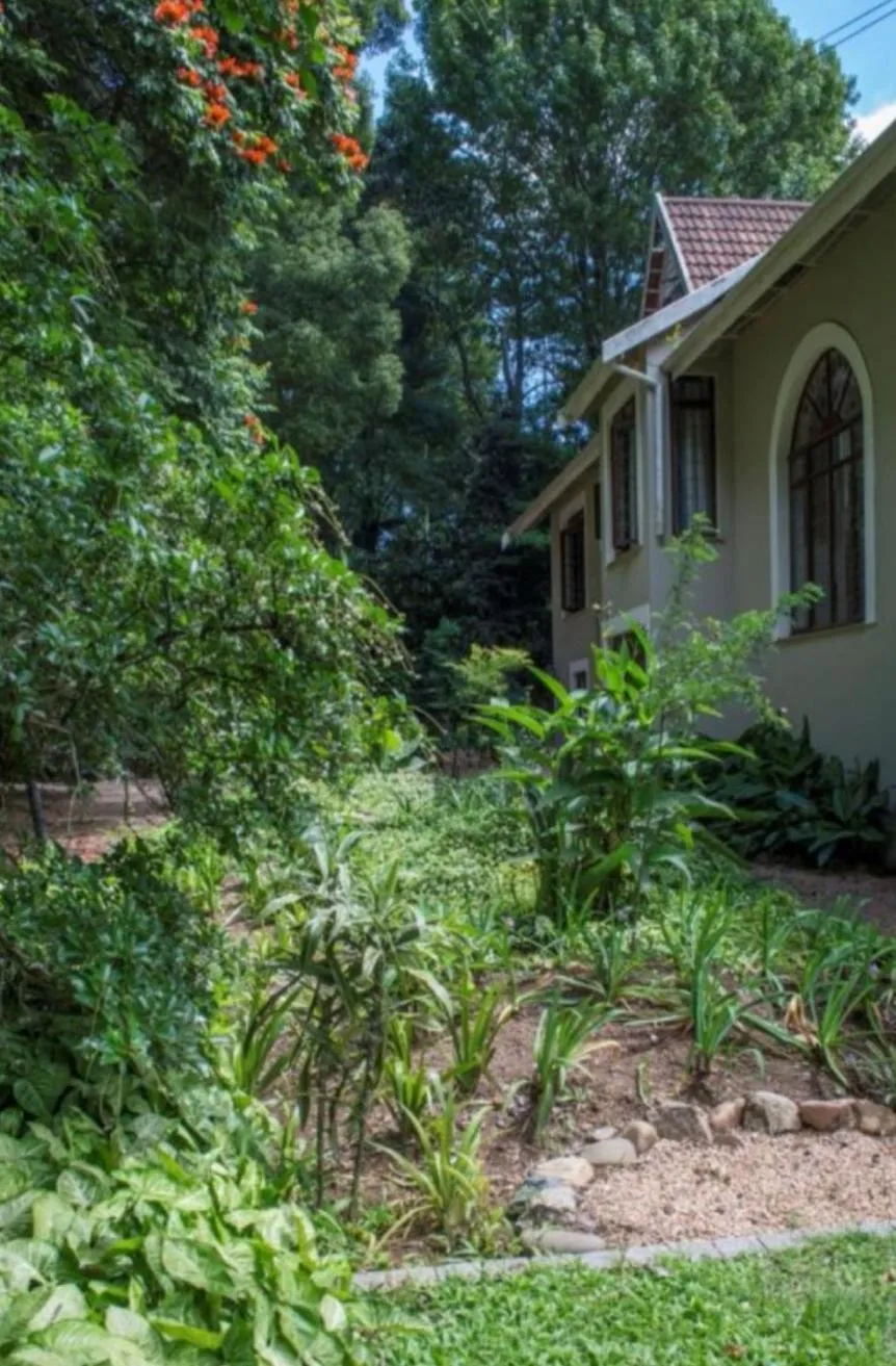 Garden in Churchill House