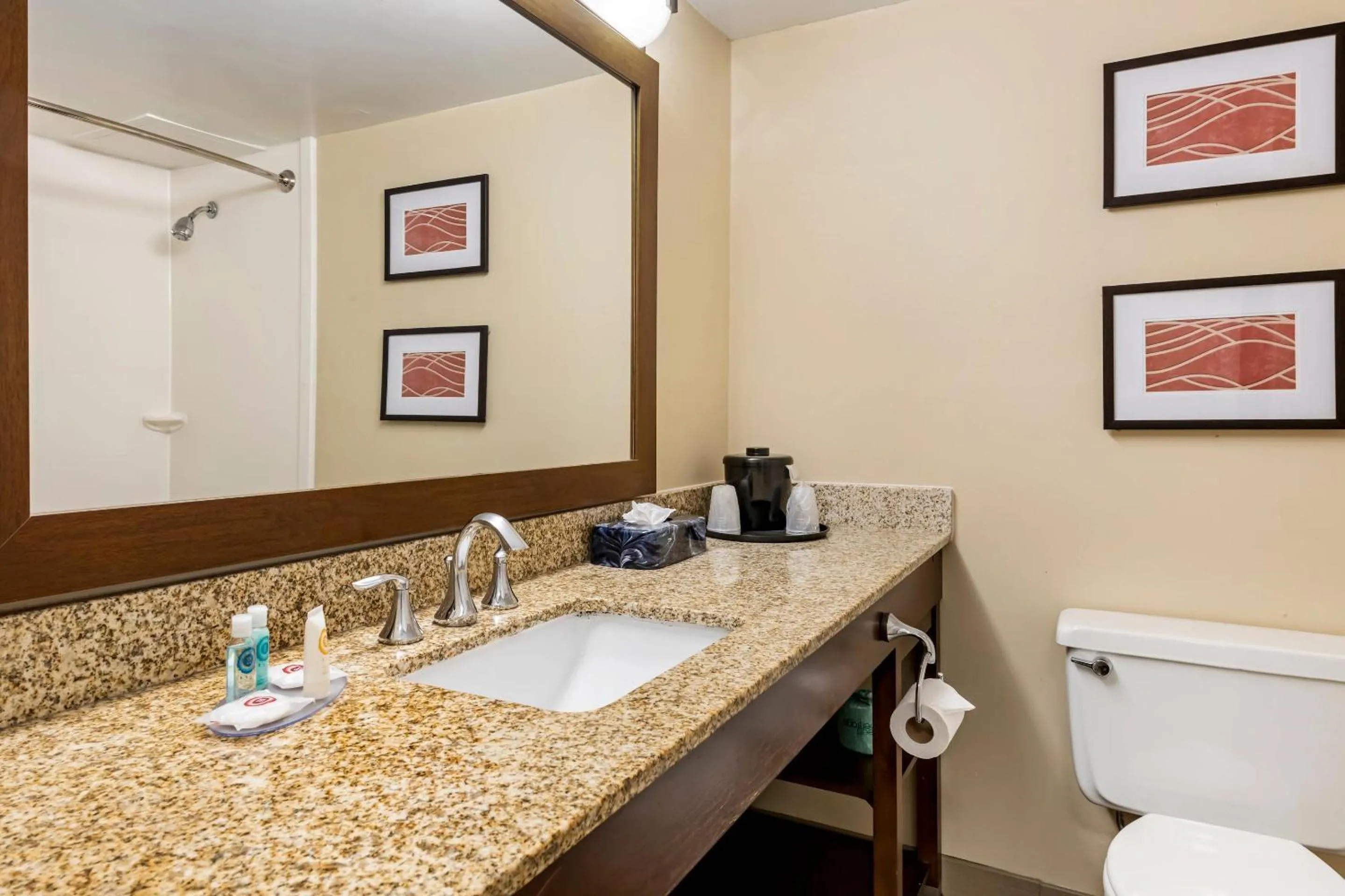 Bedroom in Comfort Inn MSP Airport - Mall of America