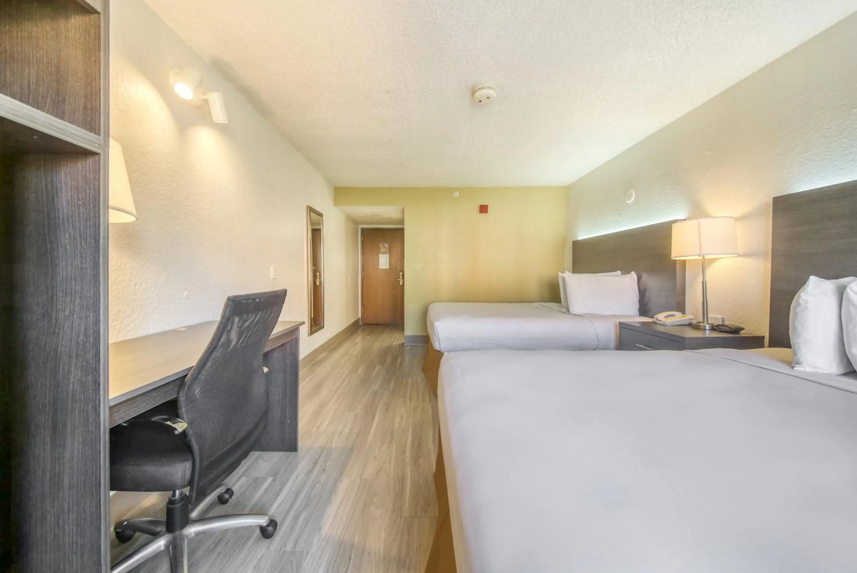 Bed in Baymont by Wyndham Orlando-International Dr-Universal Blvd