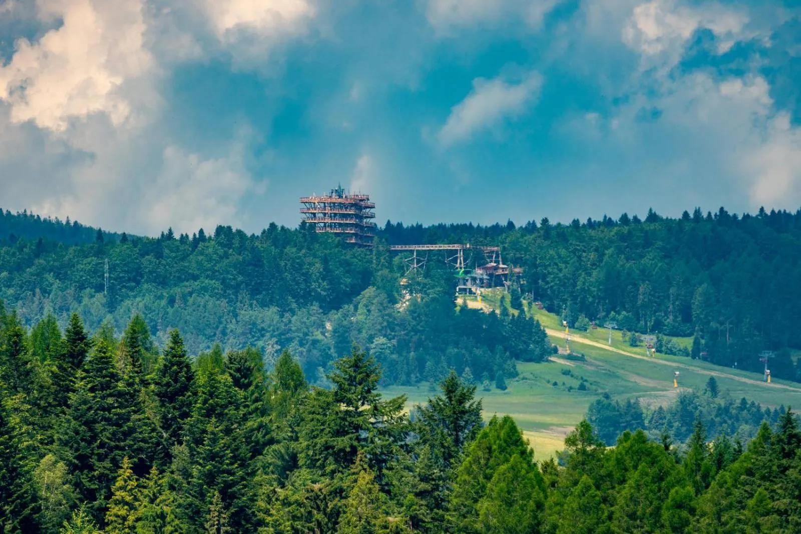 Nearby landmark in Willa Montis