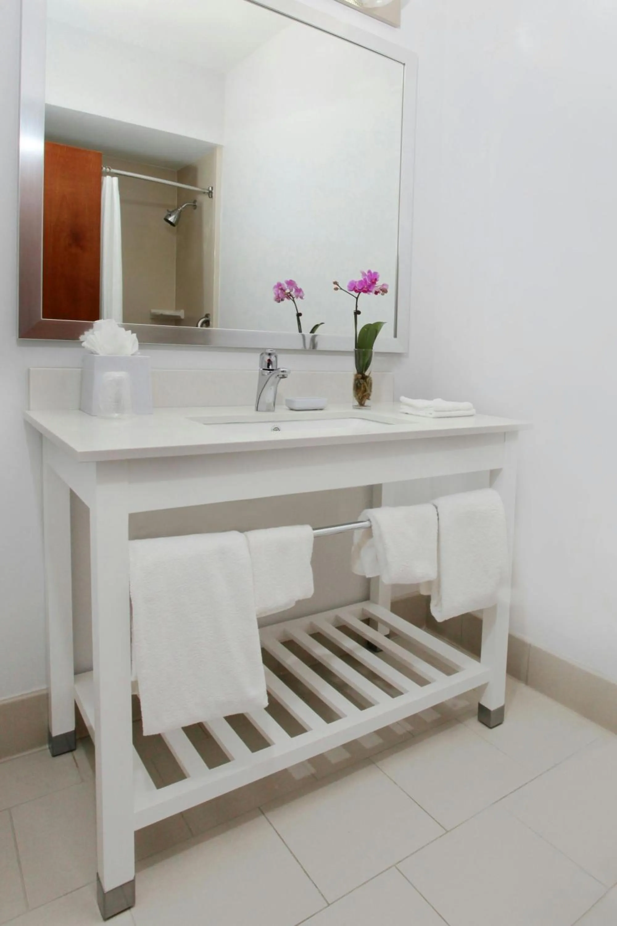 Bathroom in Four Points by Sheraton Portland East