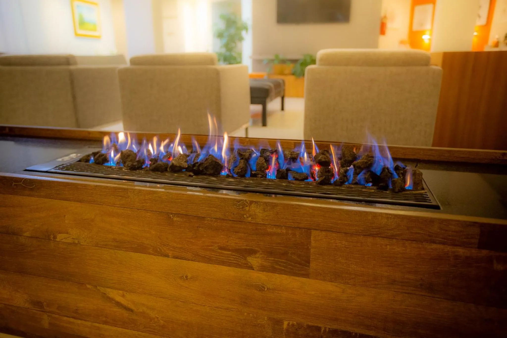 flat iron in Zago Hotel