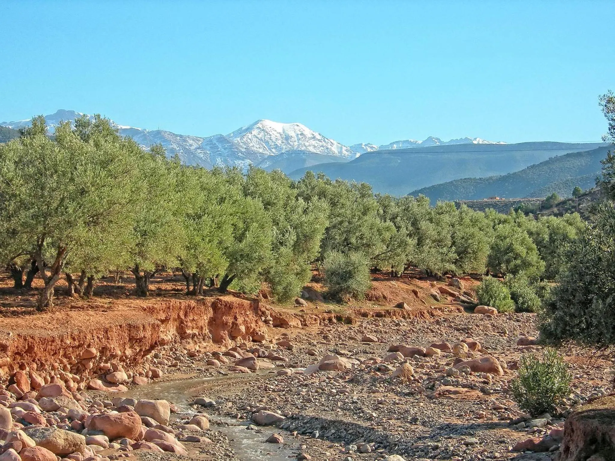 Area and facilities in Kasbah Angour