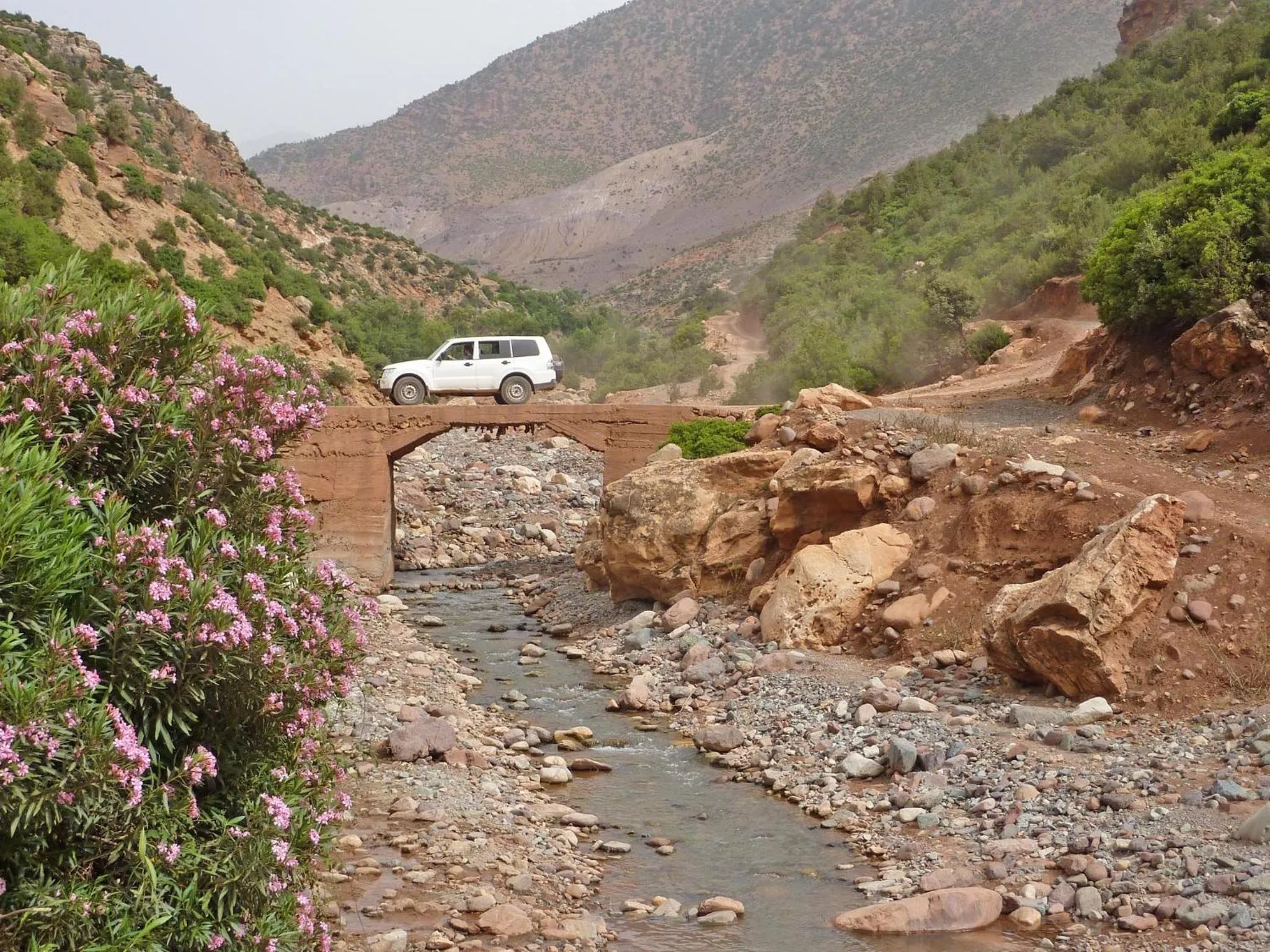 Area and facilities in Kasbah Angour