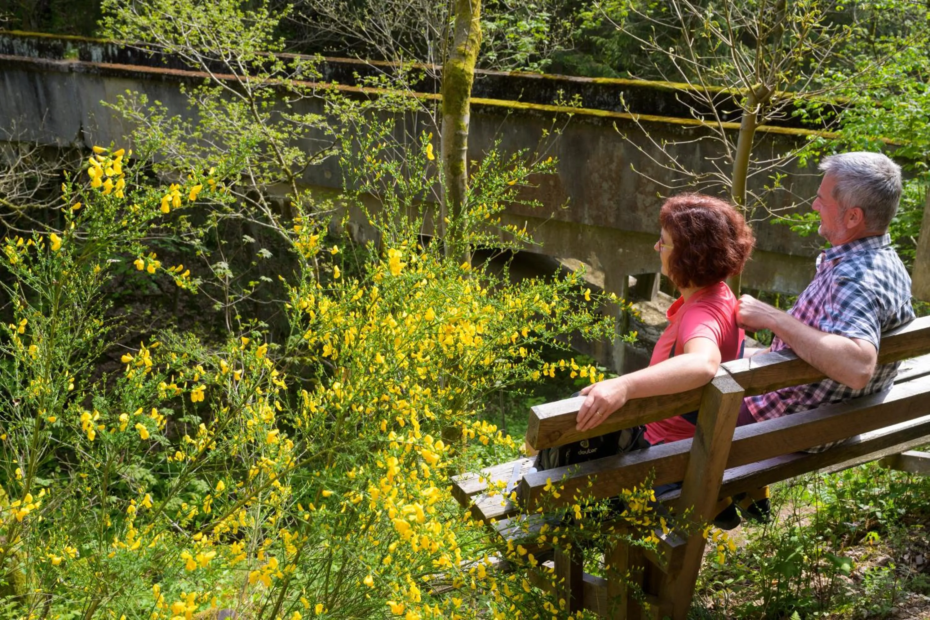 Hiking in Hotel Tiefenhagen Sauerland