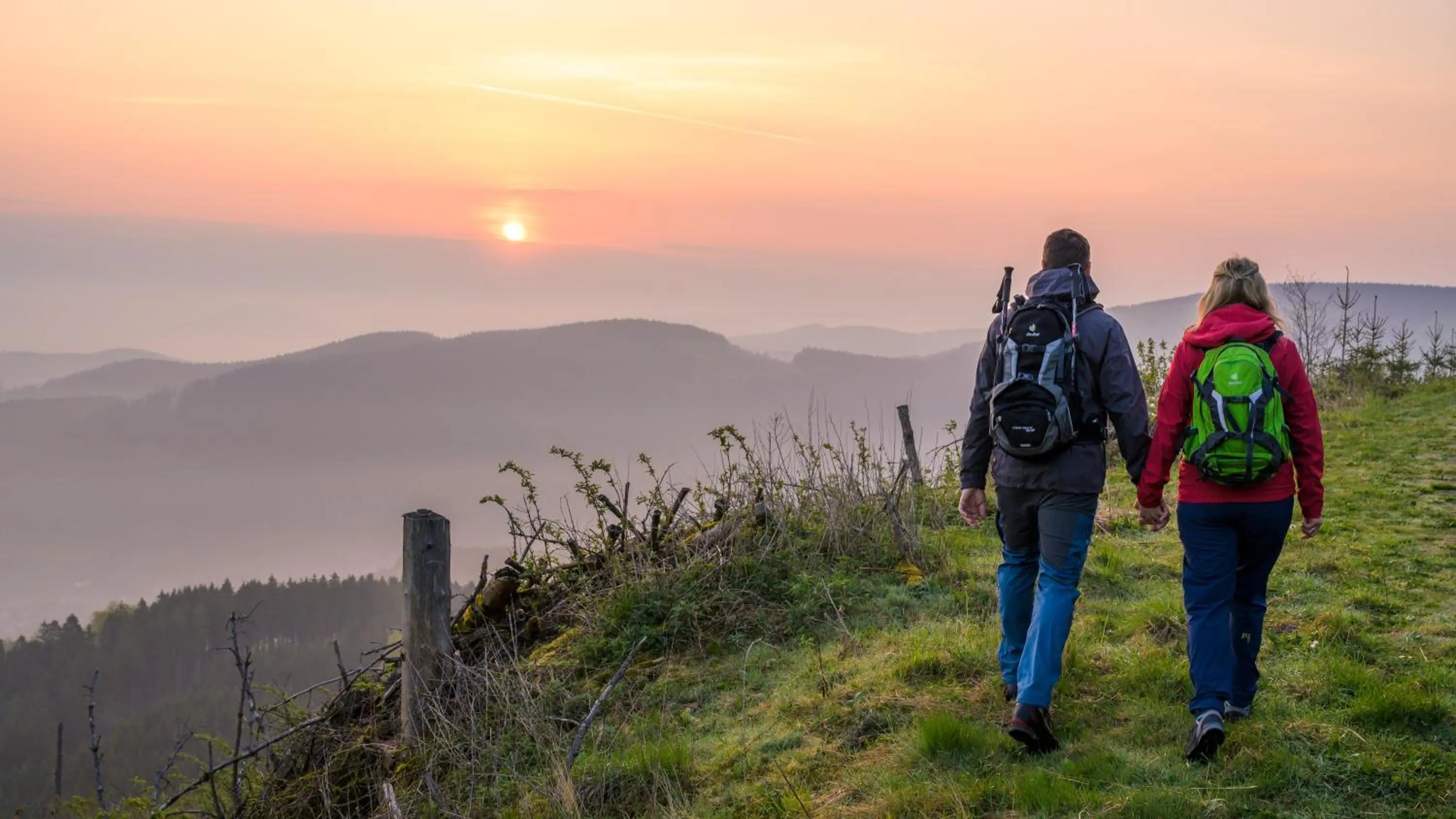 Hiking in Hotel Tiefenhagen Sauerland