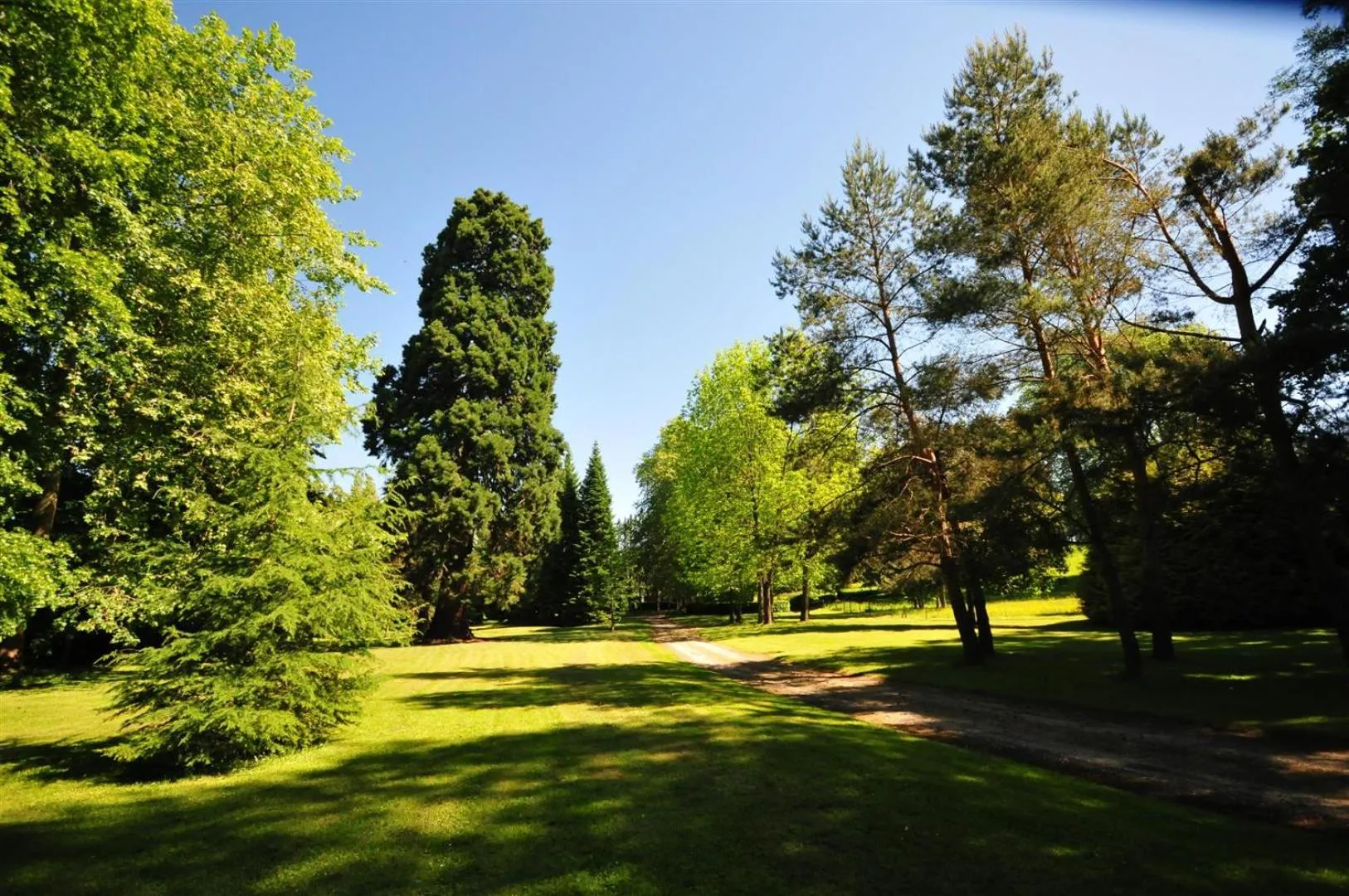 Garden in Château de la Bribourdière