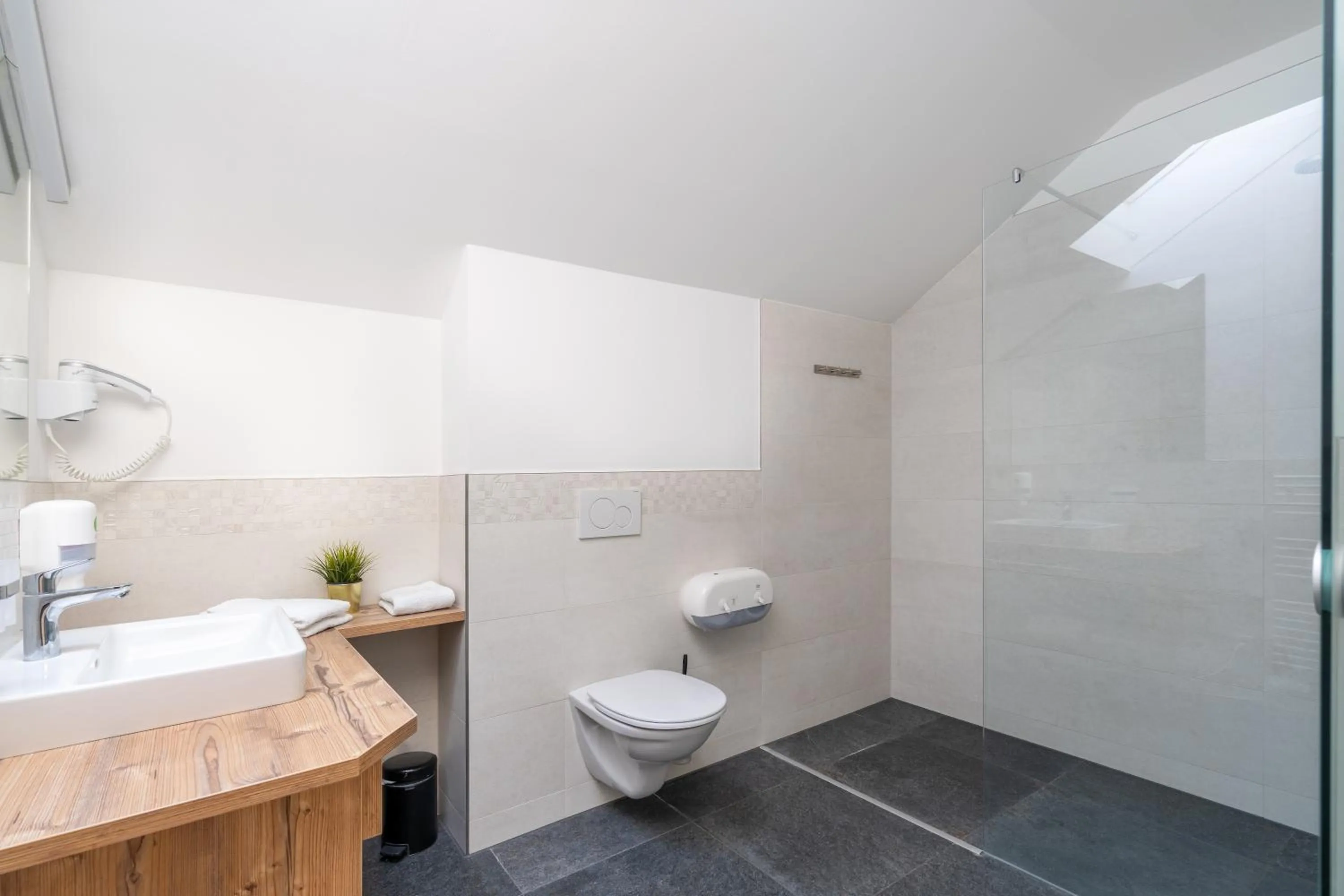 Shower in Kaiser Max Design Appartements