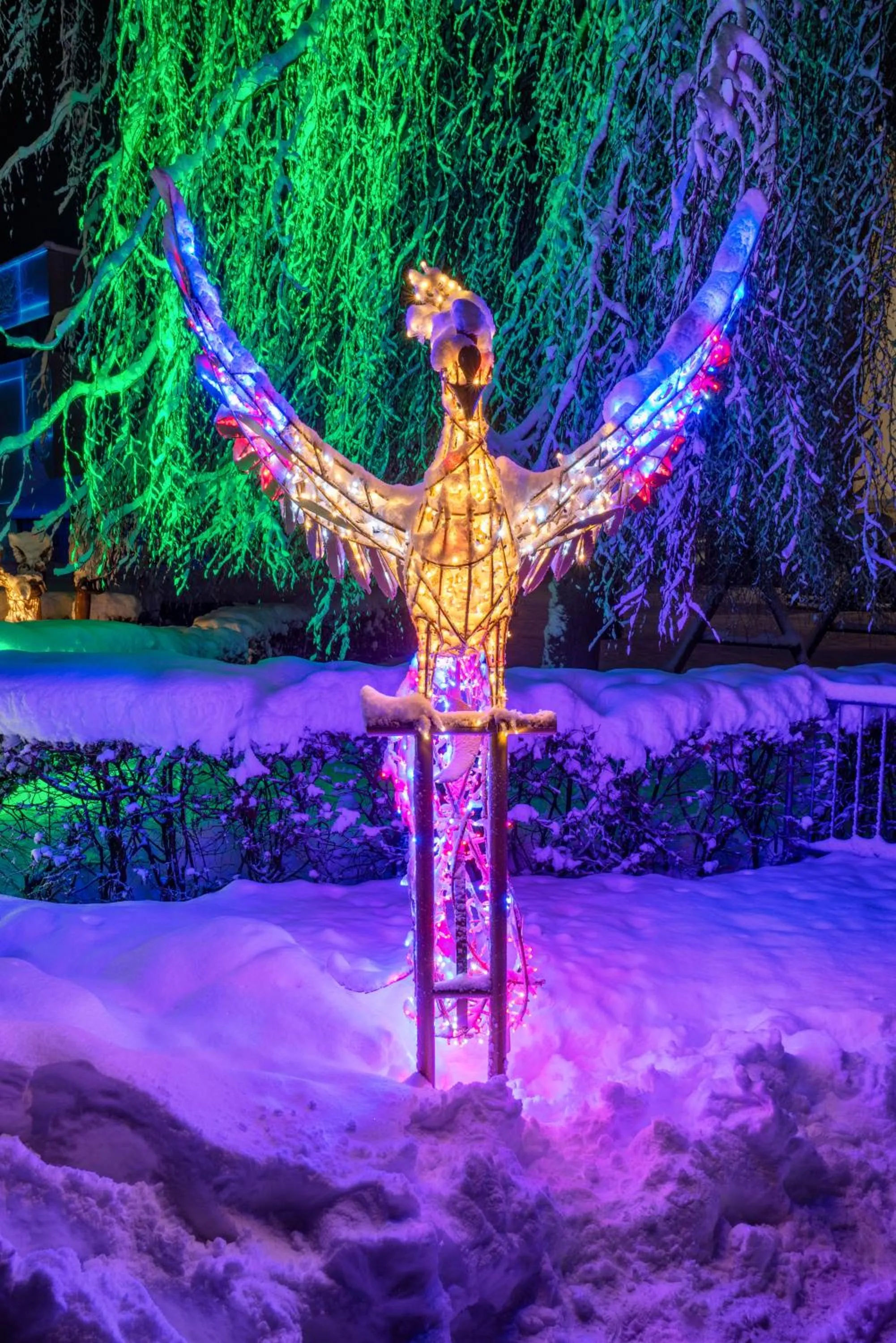 Night in Kaiser Max Design Appartements