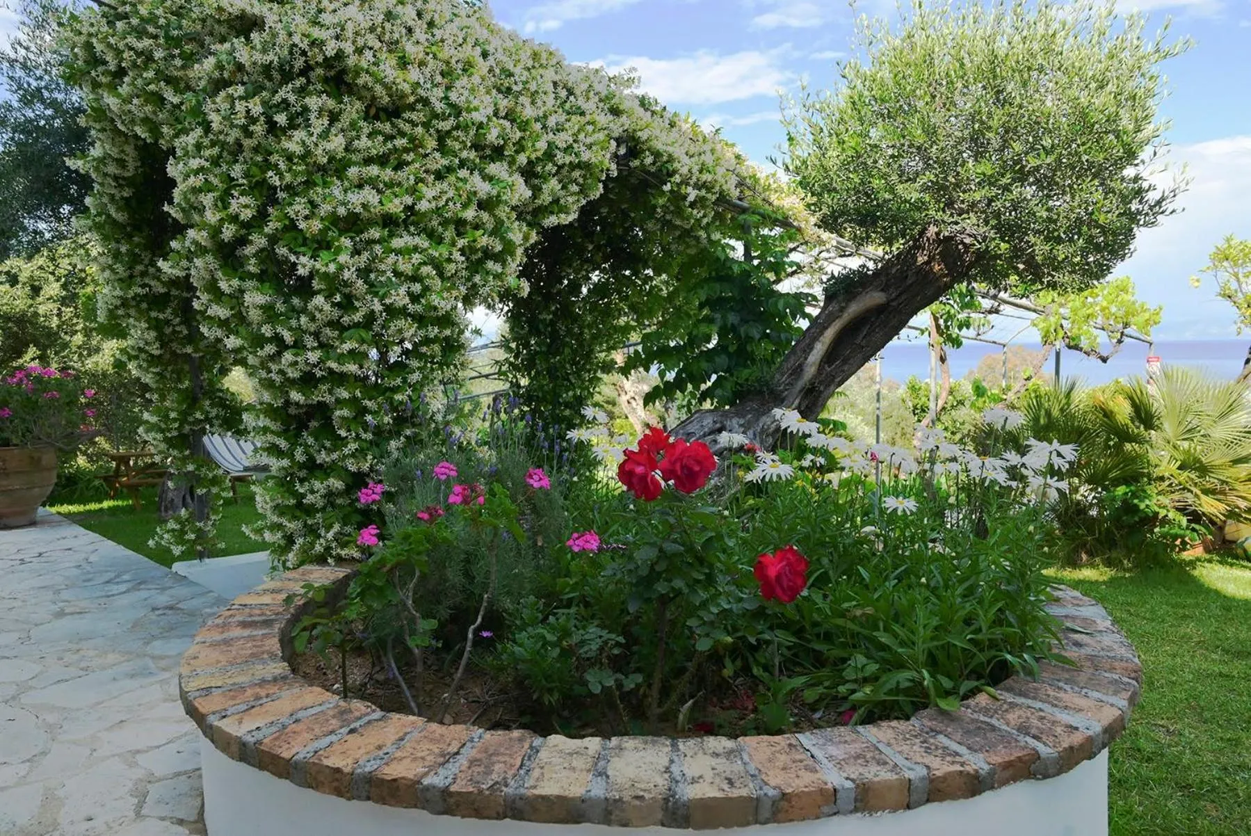 Garden in Gina Studios