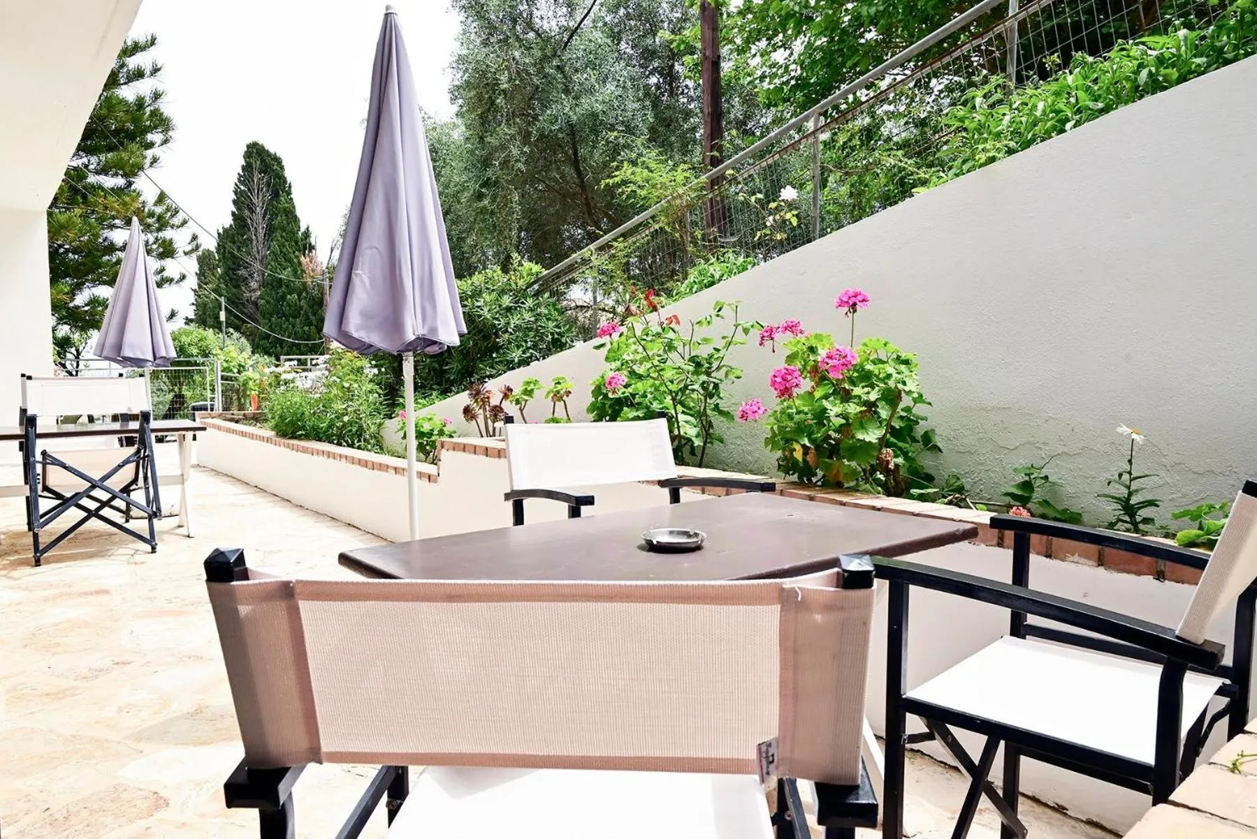 Garden in Gina Studios